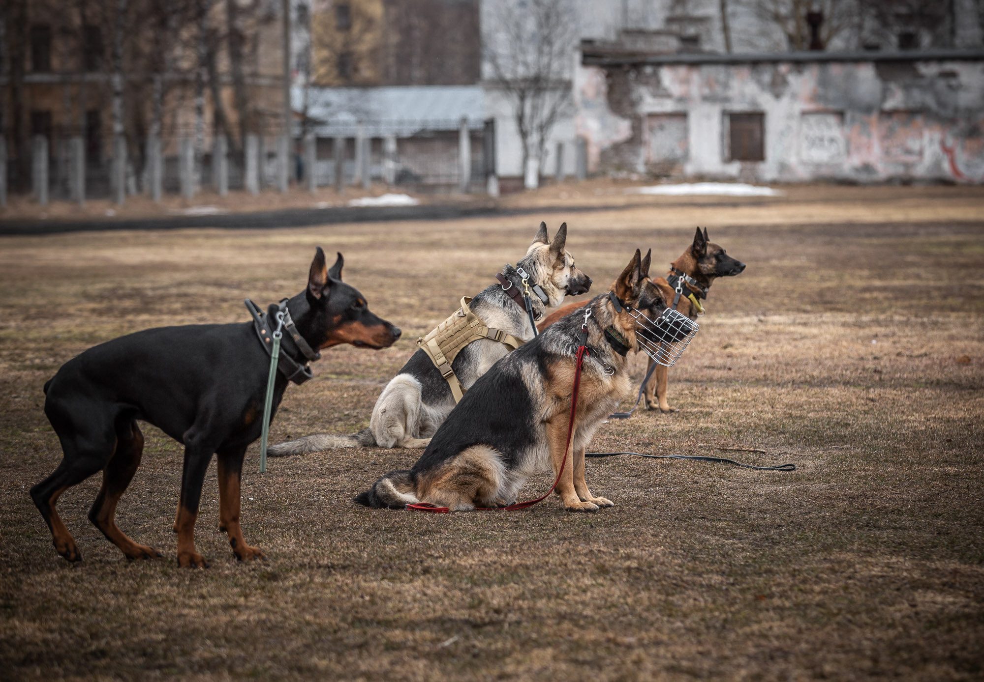 Репетиция. Фотограф — путешественник Светлана Романовская