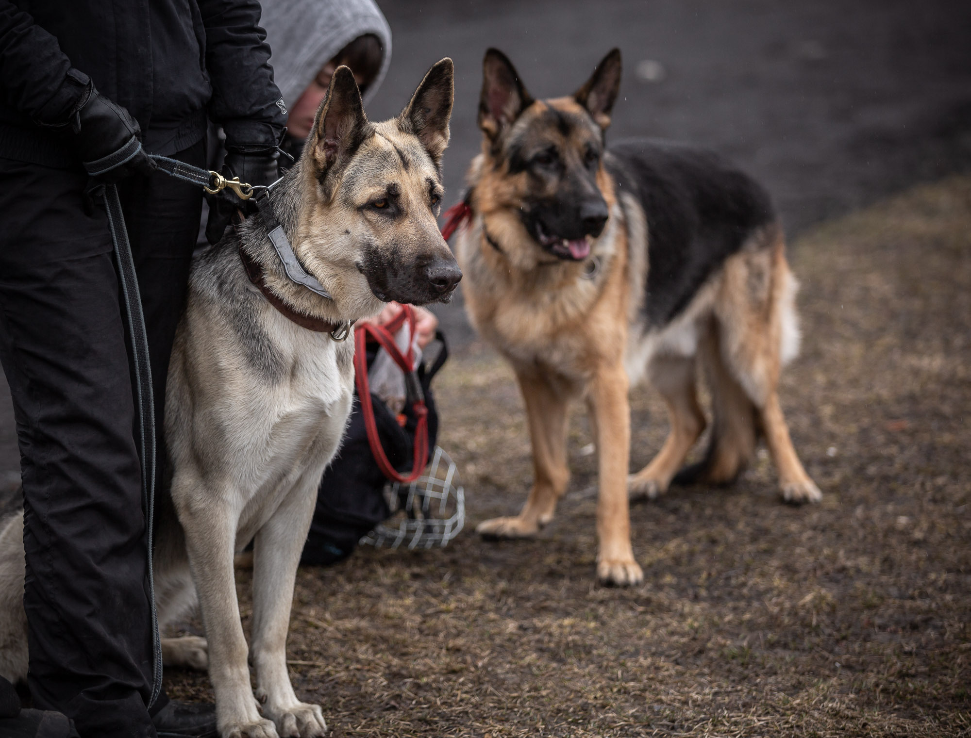 Репетиция. Фотограф — путешественник Светлана Романовская