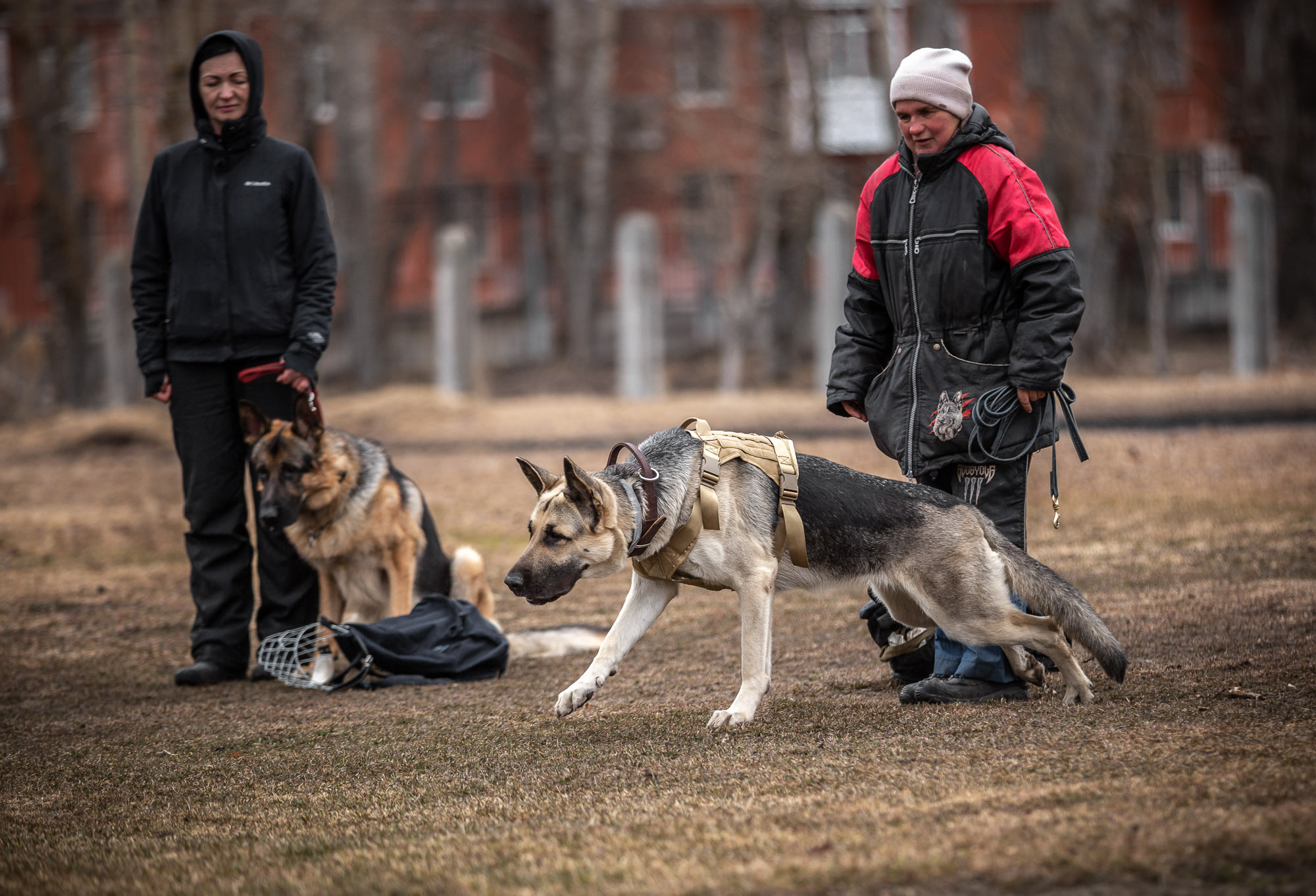 Репетиция. Фотограф — путешественник Светлана Романовская