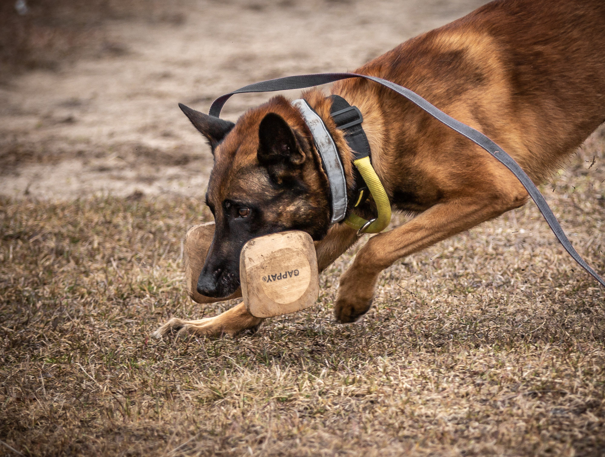 Репетиция. Фотограф — путешественник Светлана Романовская