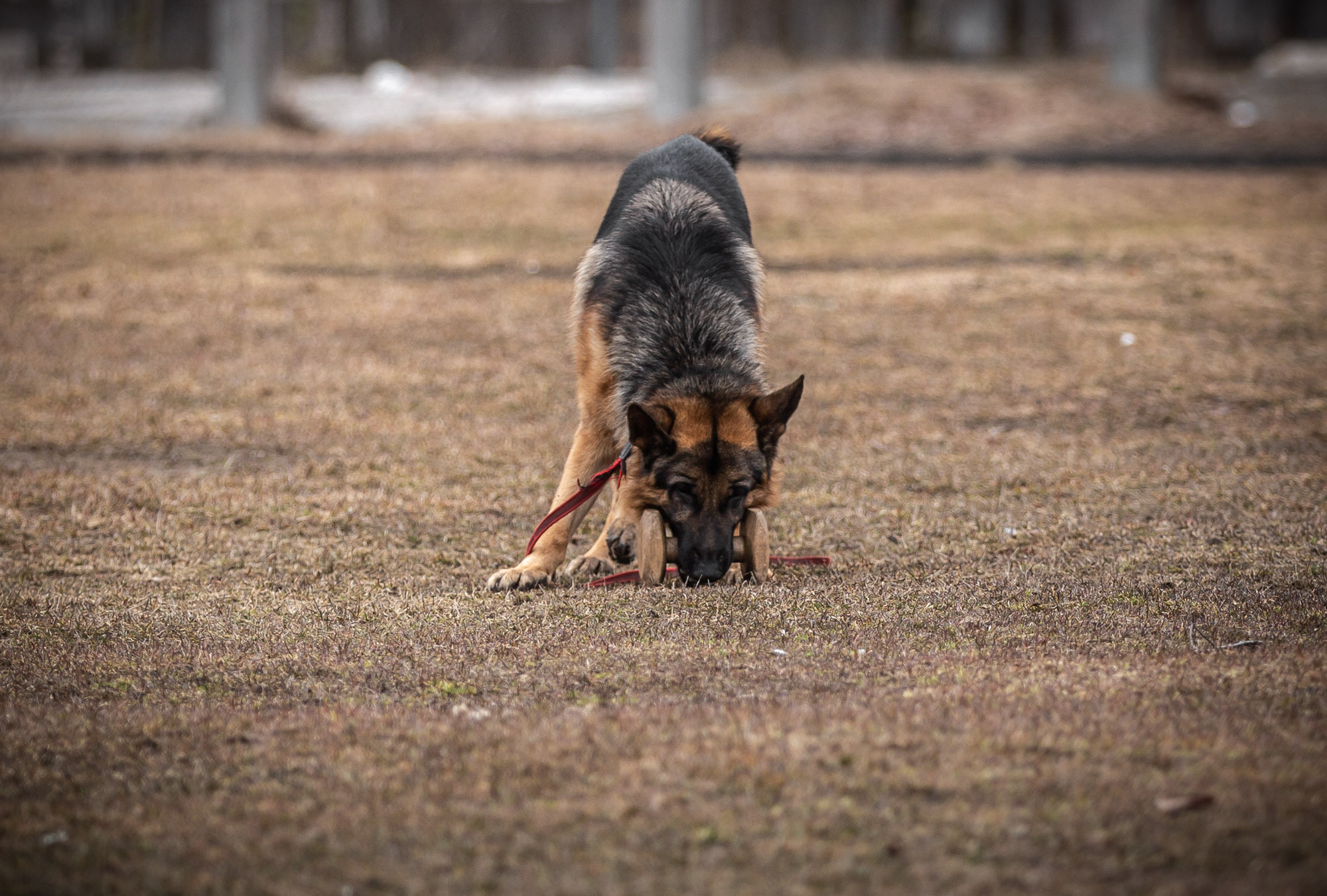 Репетиция. Фотограф — путешественник Светлана Романовская
