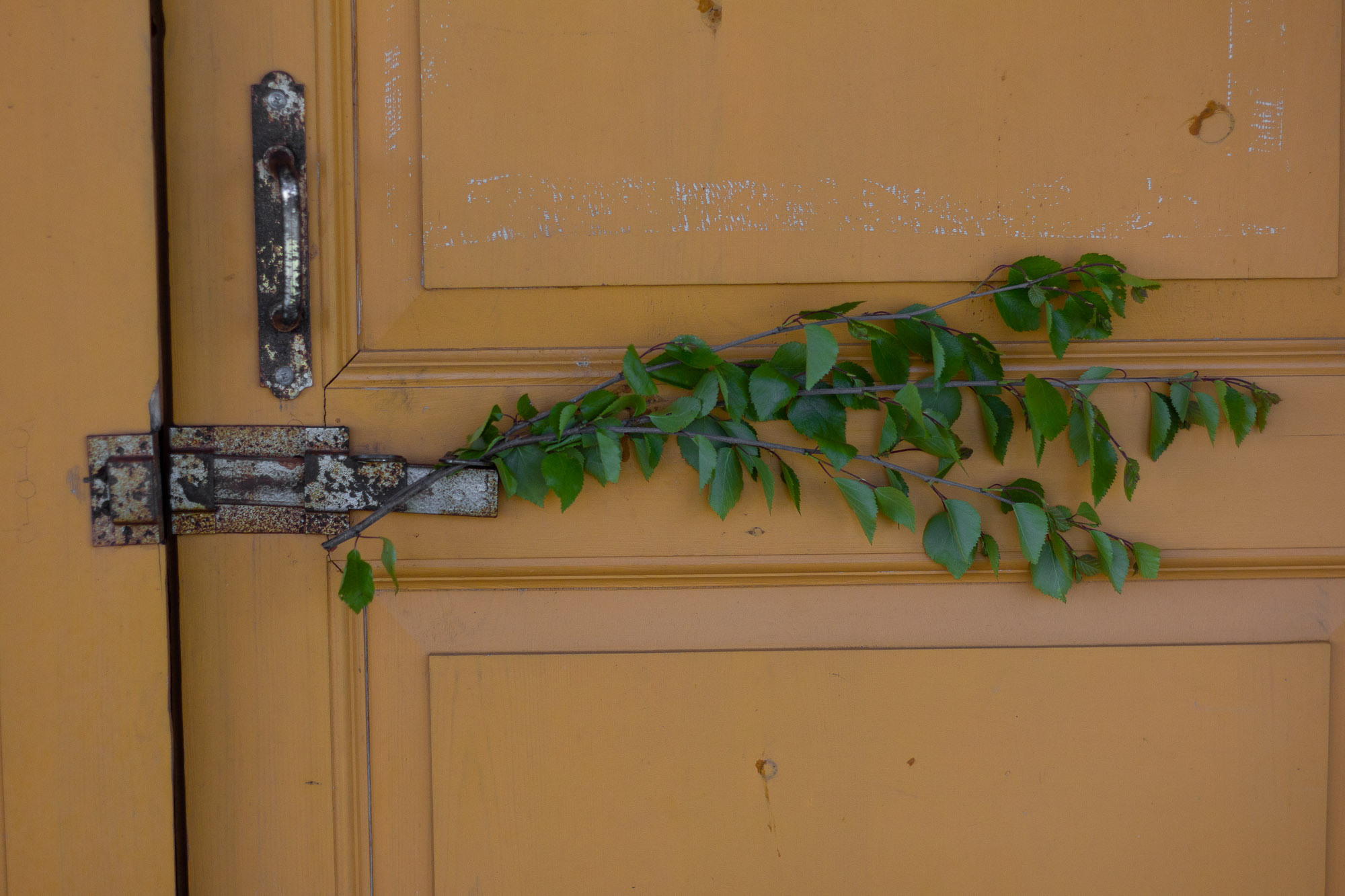Праздник Святой Троицы в Нёноксе. Фотограф — путешественник Светлана Романовская