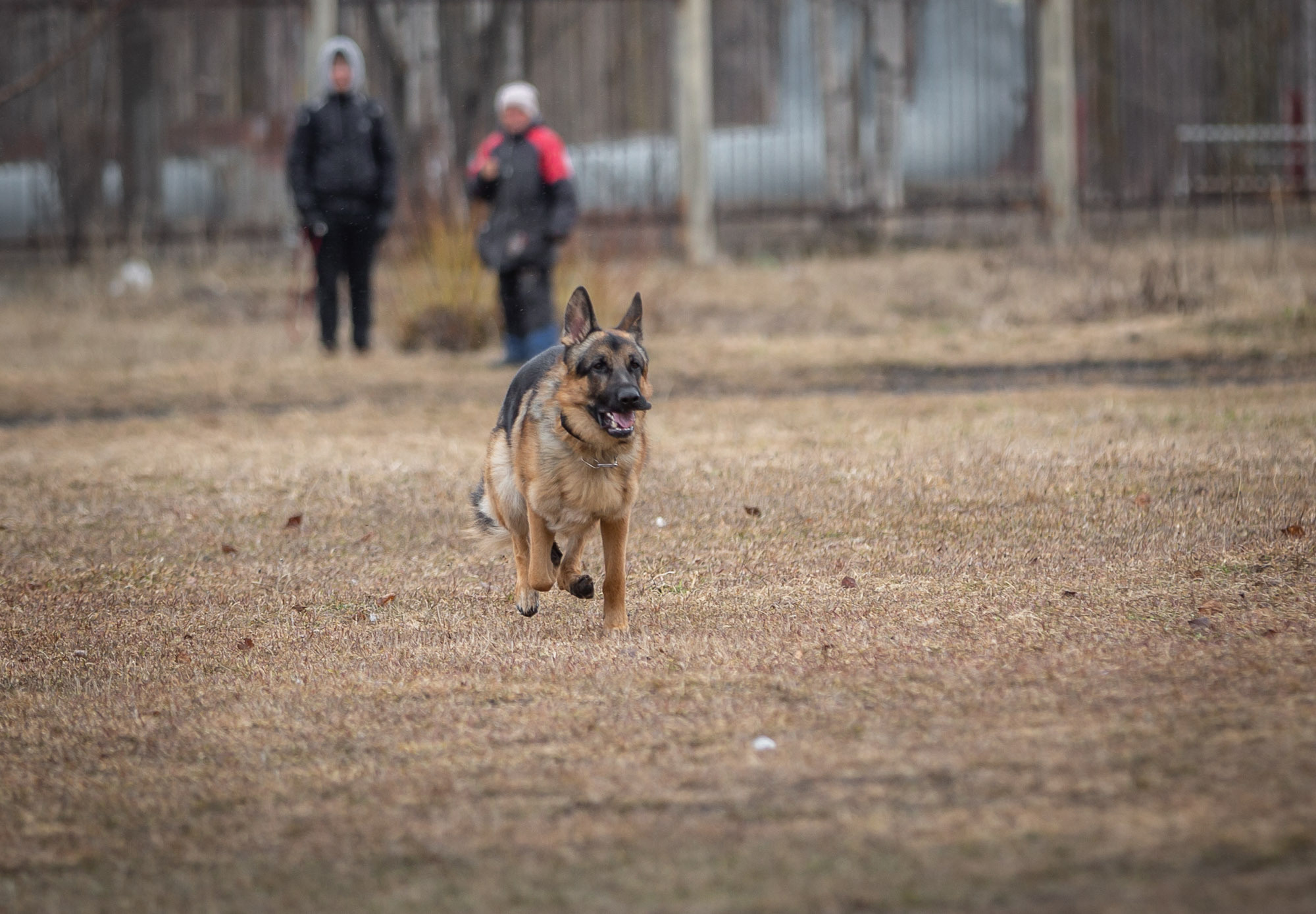 Репетиция. Фотограф — путешественник Светлана Романовская