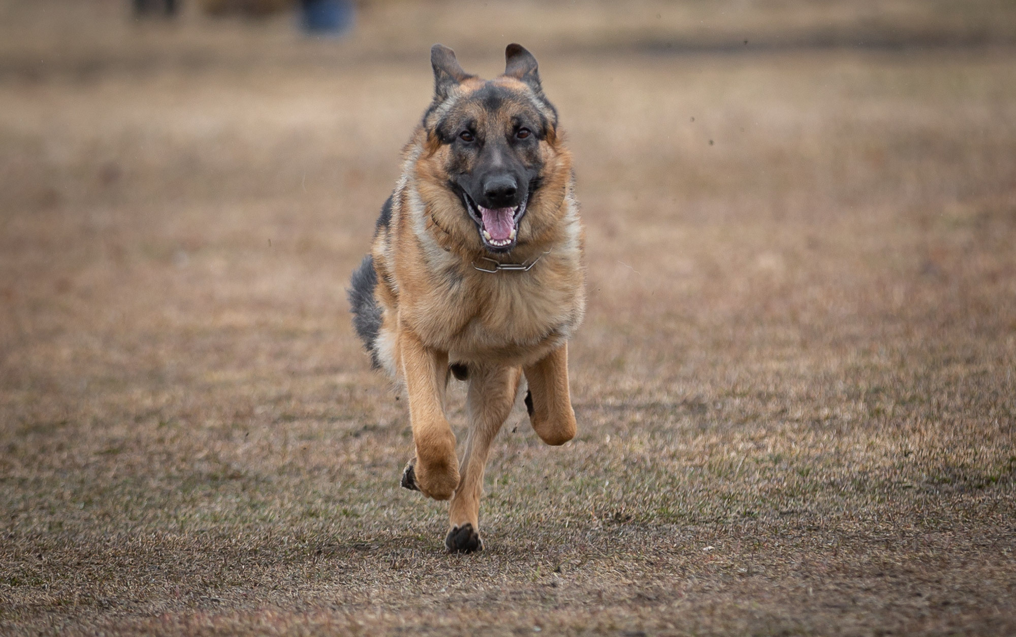 Репетиция. Фотограф — путешественник Светлана Романовская