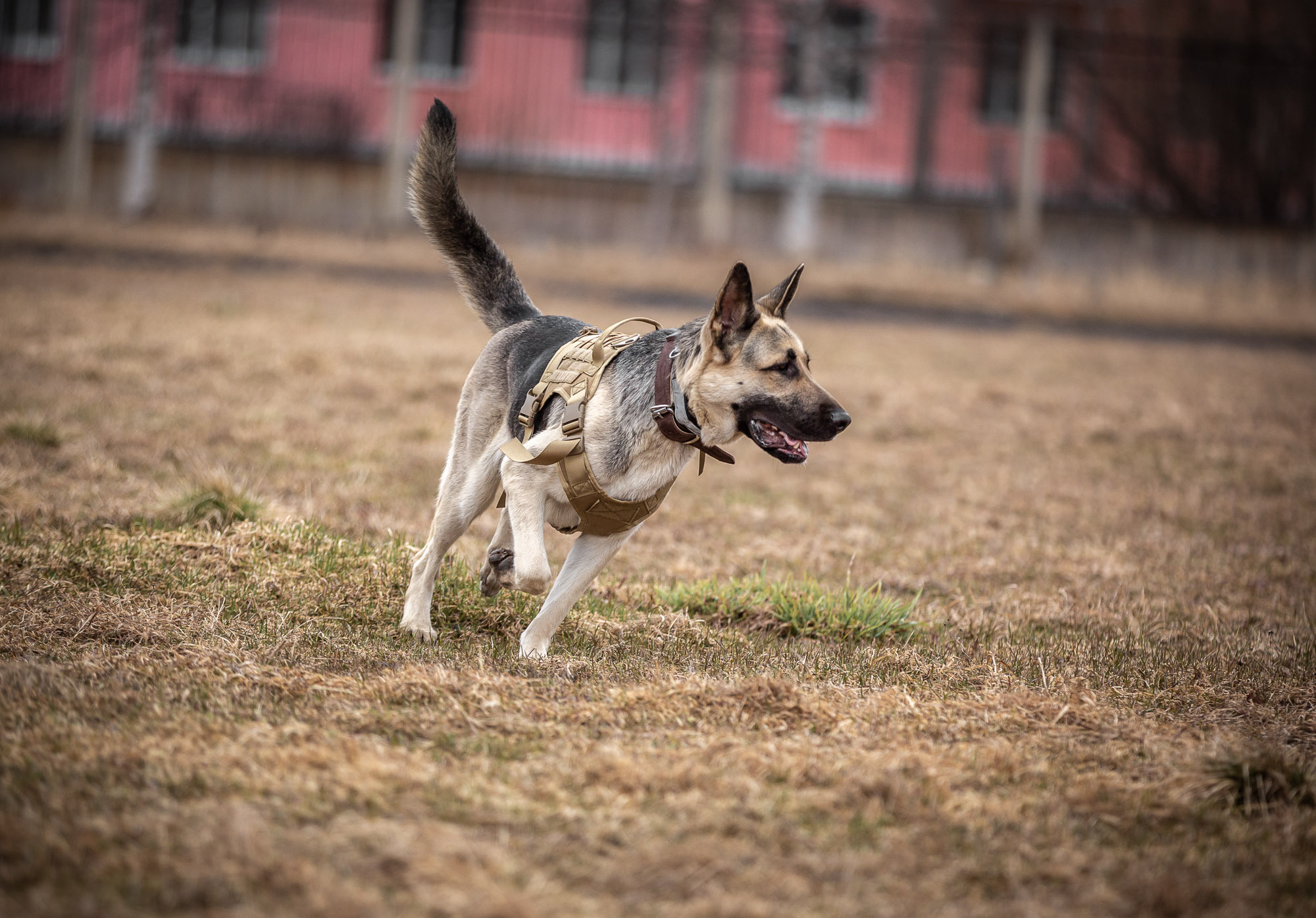 Репетиция. Фотограф — путешественник Светлана Романовская