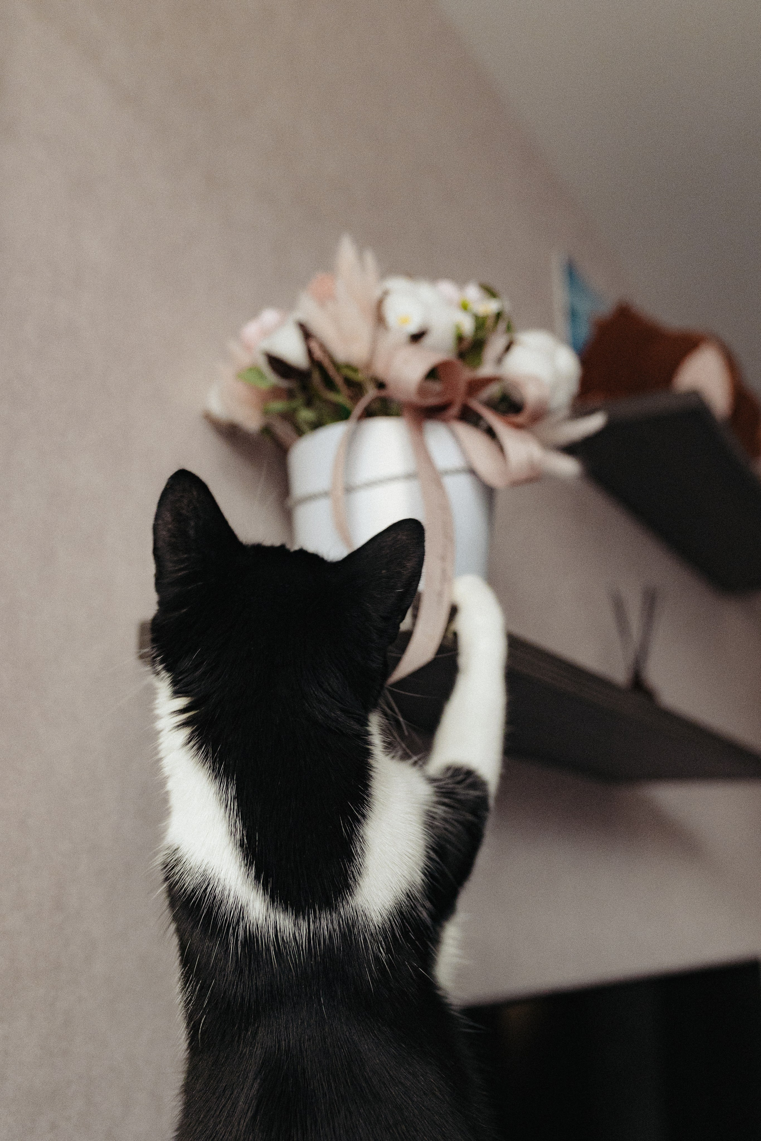 Домашняя семейная фотосессия с малышом. Портретный и семейный фотограф в Москве Мария Рослякова