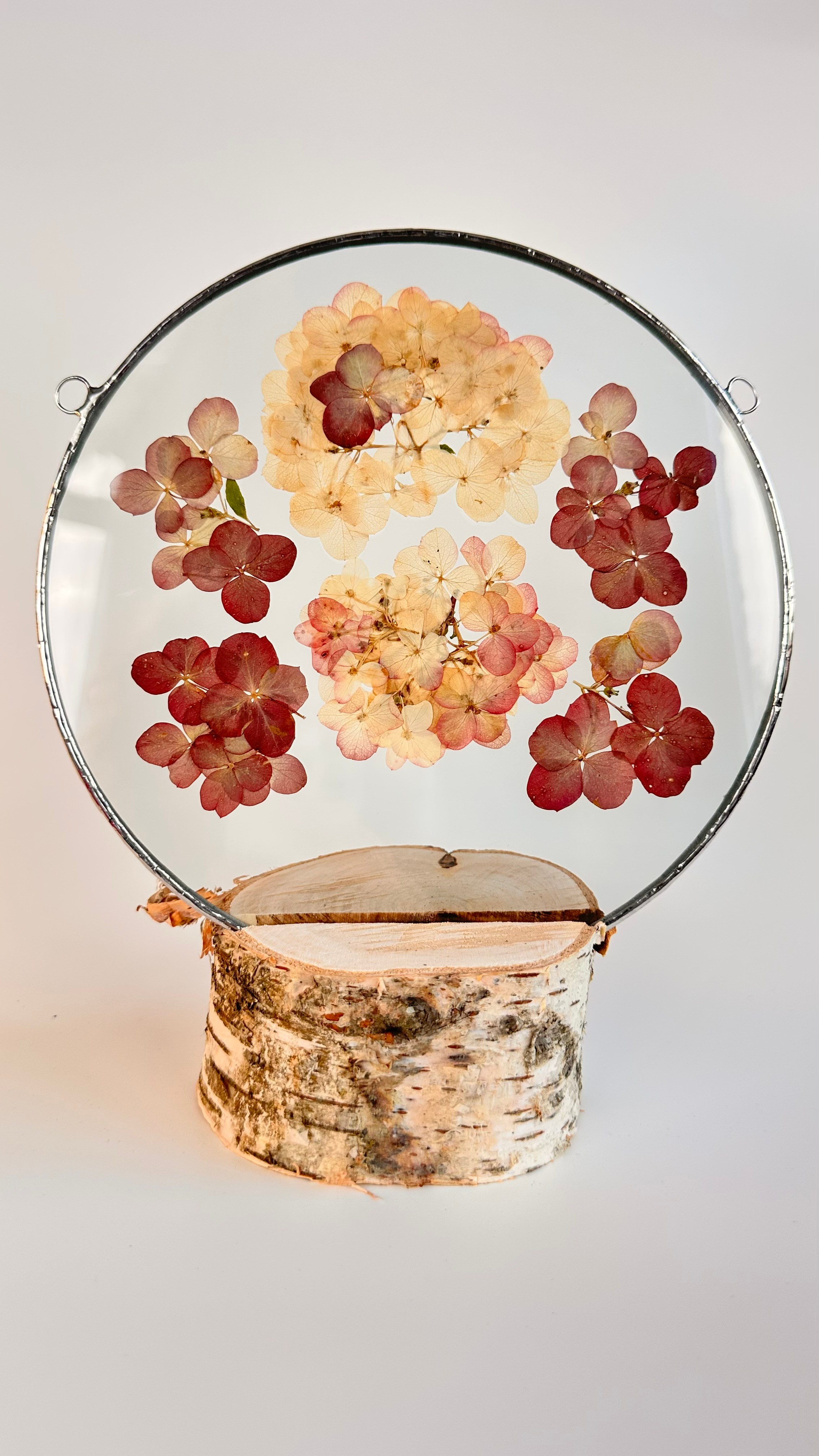 Гортензия круг 20 см. Оформляю пространства. Витражи с сухоцветами в технике Тиффани