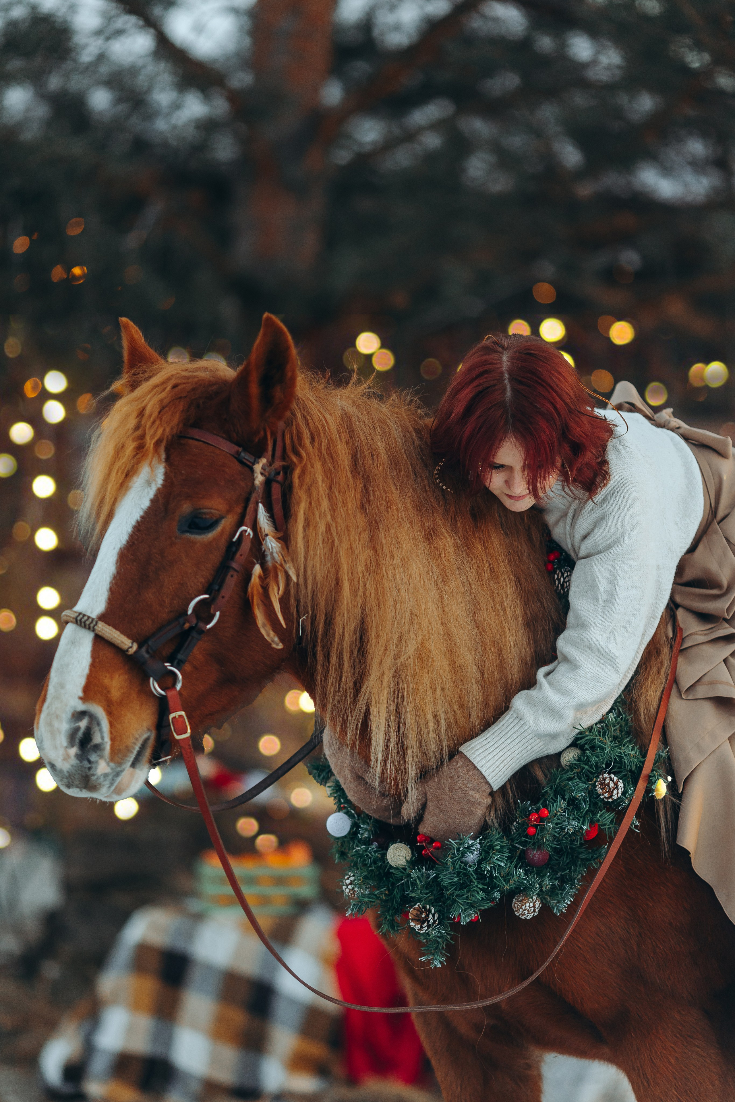Тариф новогодний 2024. Анна Молчанова конный фотограф в Тюмени | фотосессии с лошадьми Тюмень