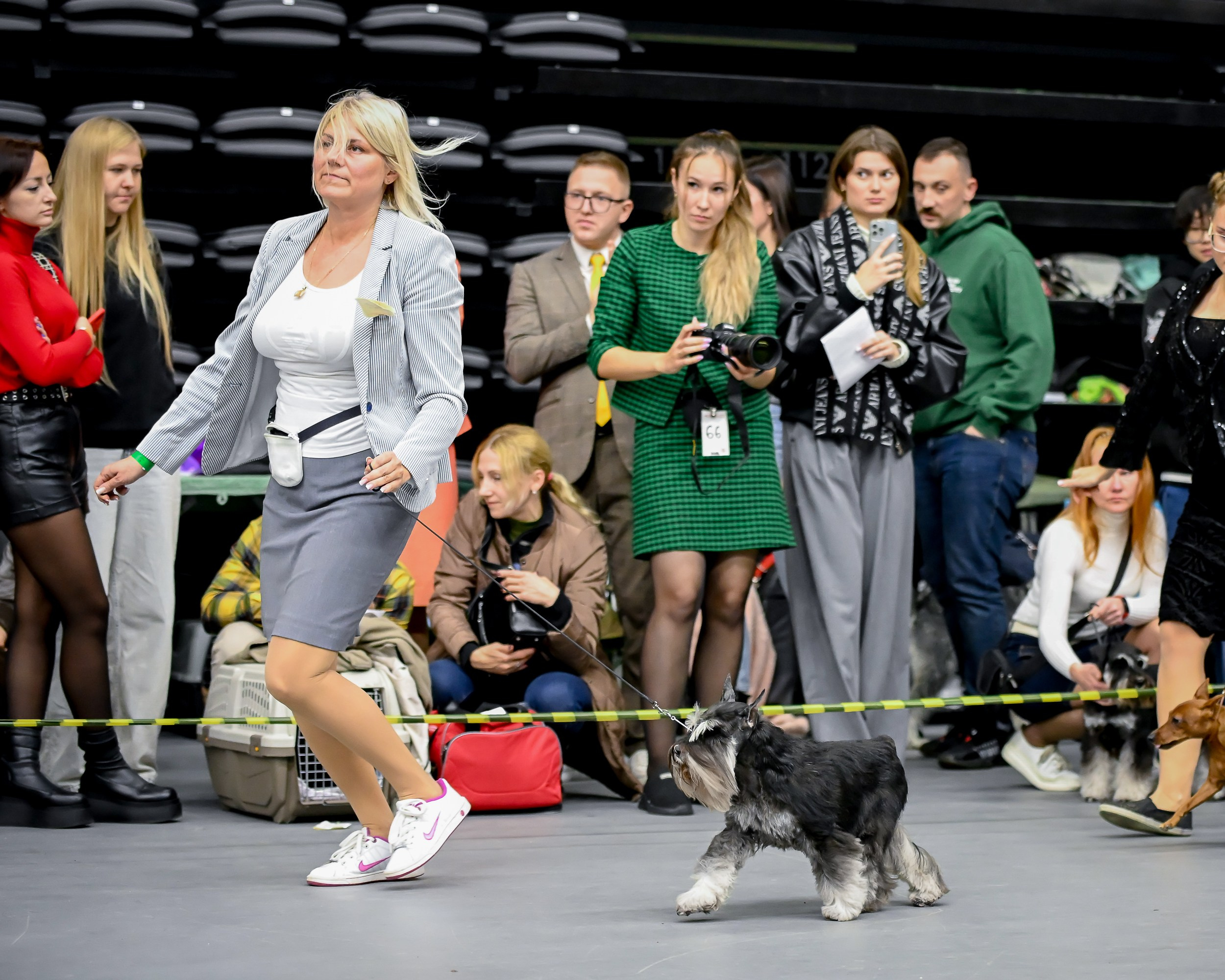 Питомник Делинсо Бэлэнс, щенки цвергшнауцера, купить щенка цвергшнауцера, питомник цвергшнауцеров, кобель цвергшнауцера для вязки, щенок цвергшнауцера, питомник цвергшнауцеров, черный с серебром, цверг, лучший питомник в беларуси, питомник цвергшнауцеров минск