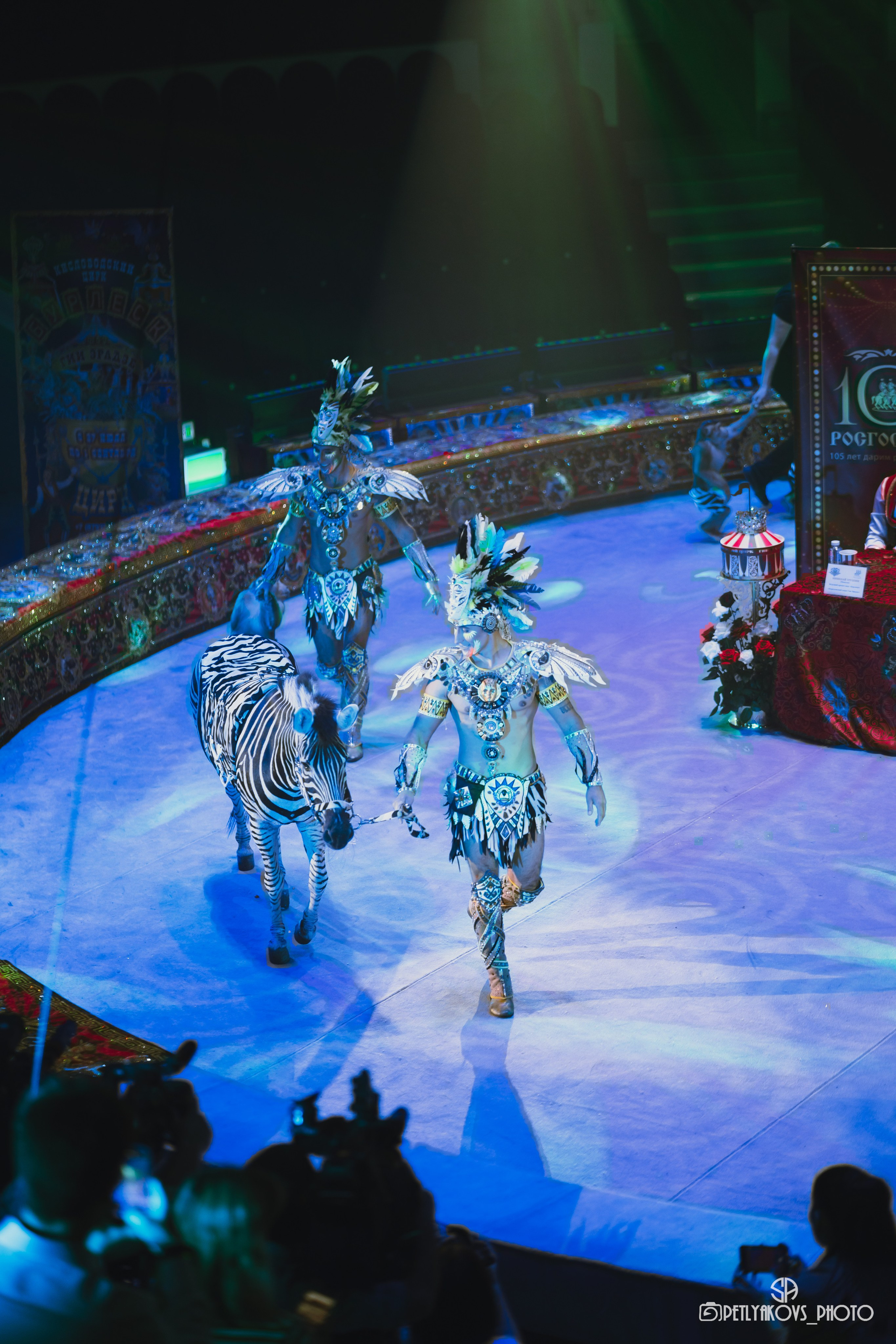 Пресс-конференция циркового шоу Гии Эрадзе «Бурлеск» (репортаж). Фотограф, видеограф Пятигорск, Ставрополь, Ессентуки, Petlyakovs_photo