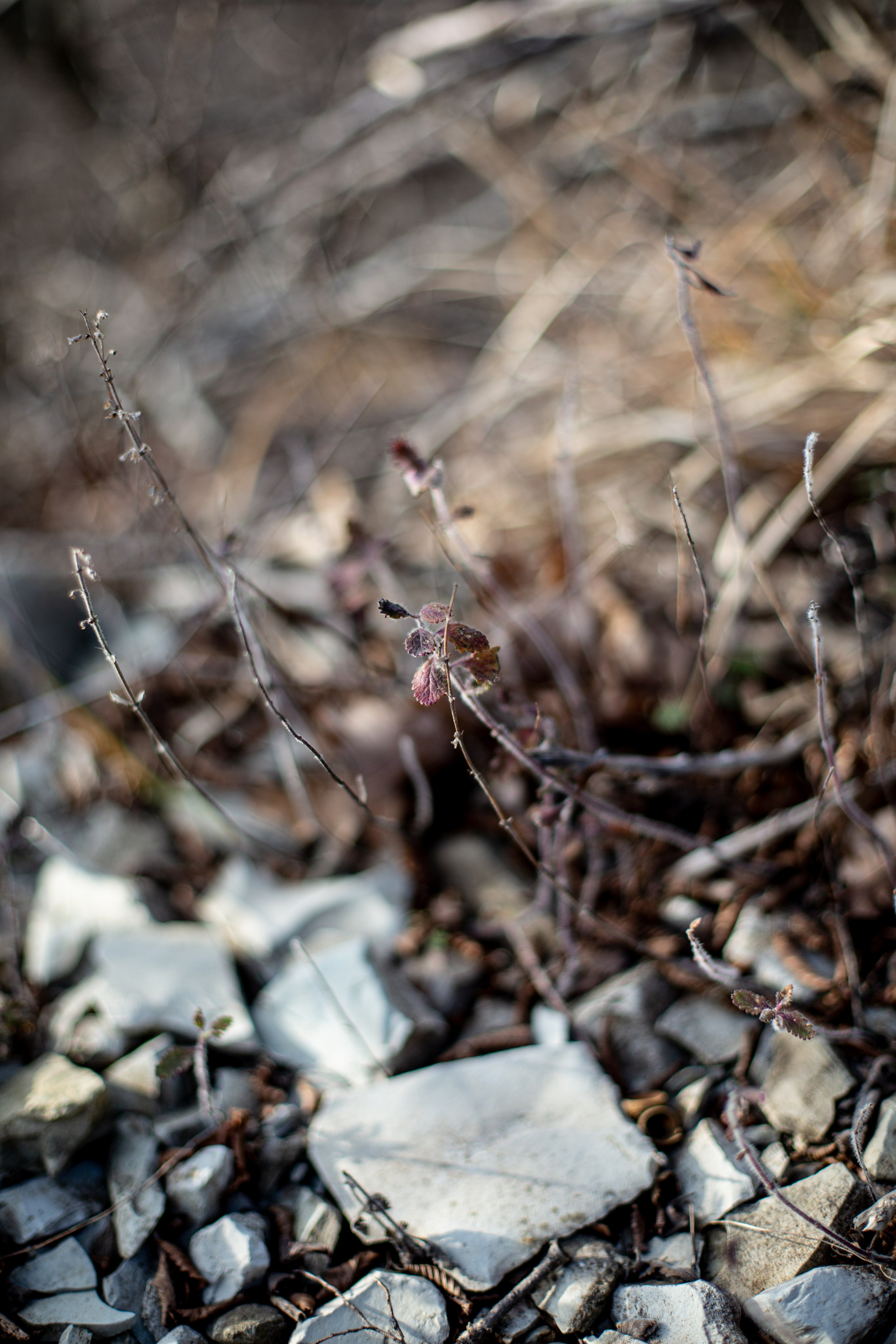 Дороги земли ветров. Портретный фотограф в Москве и Геленджике Кирилл Вахитов
