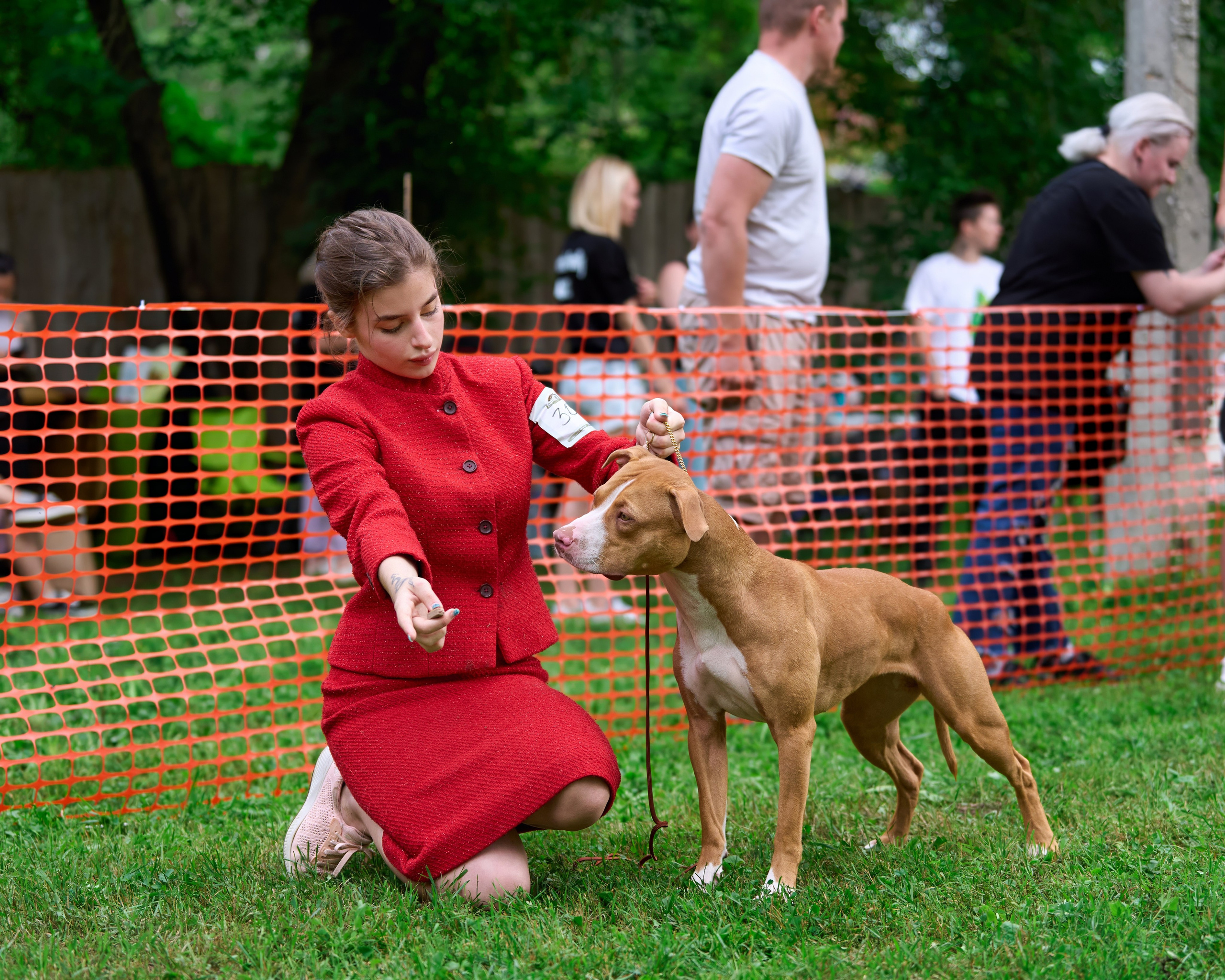 Золотой Кубок — 2024. Фотограф-анималист Михаил Манухин