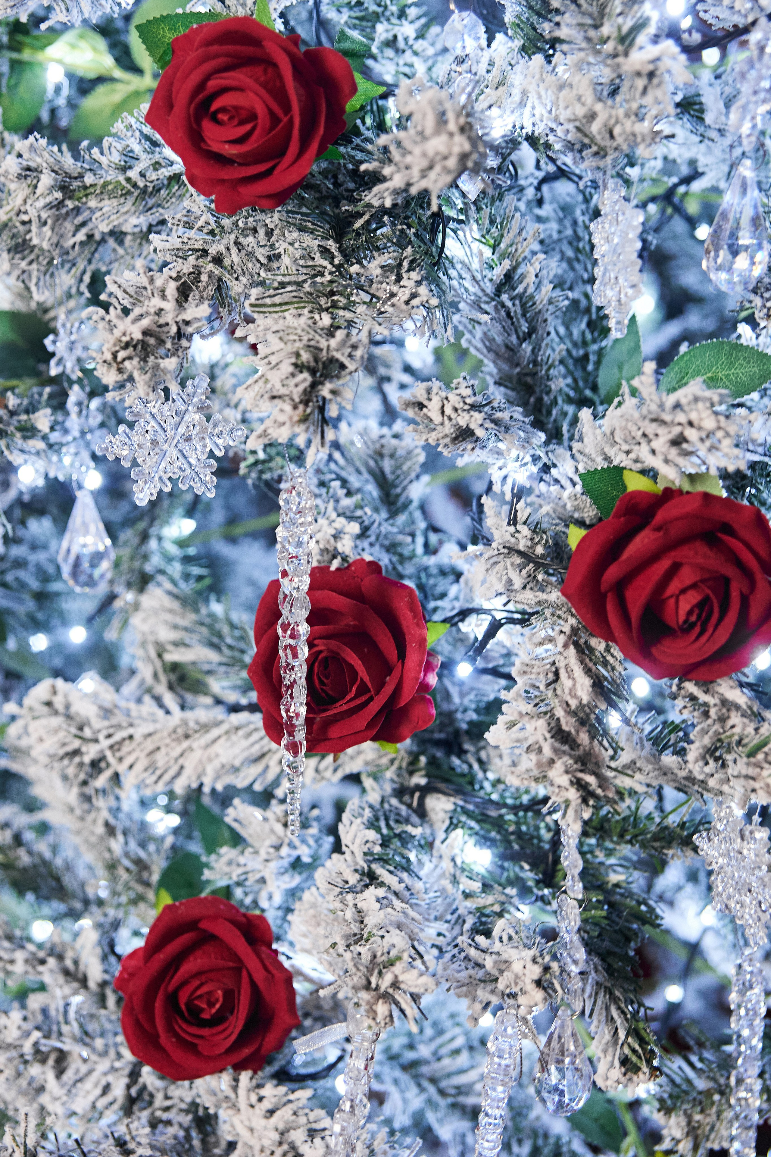 Список фотостудий. Свадебный и портретный фотограф Roxana Imp Тверь Москва