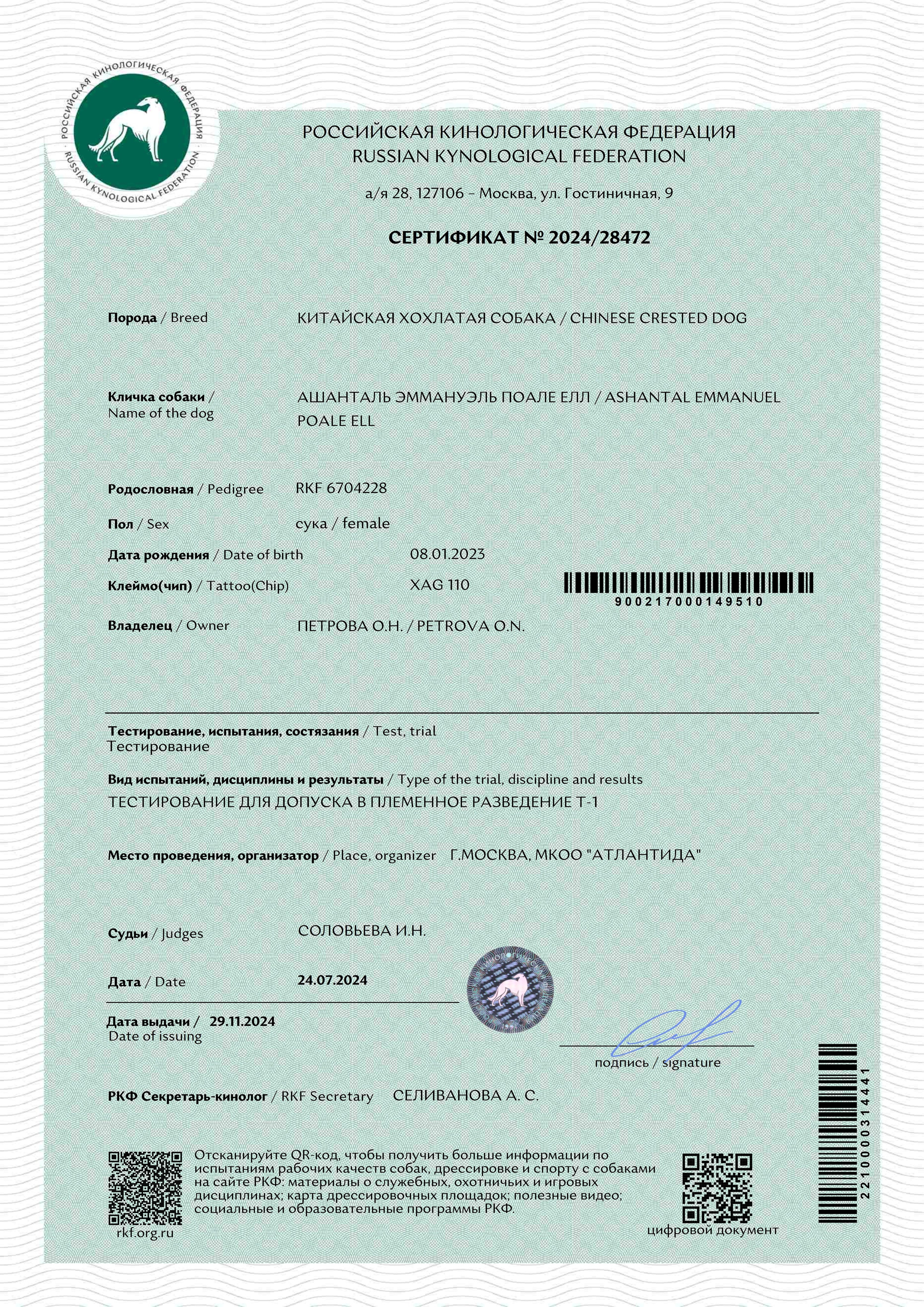 Ashantal Emmanuel Poale Ell. Chinese Crested Dog Kennel Poale Ell