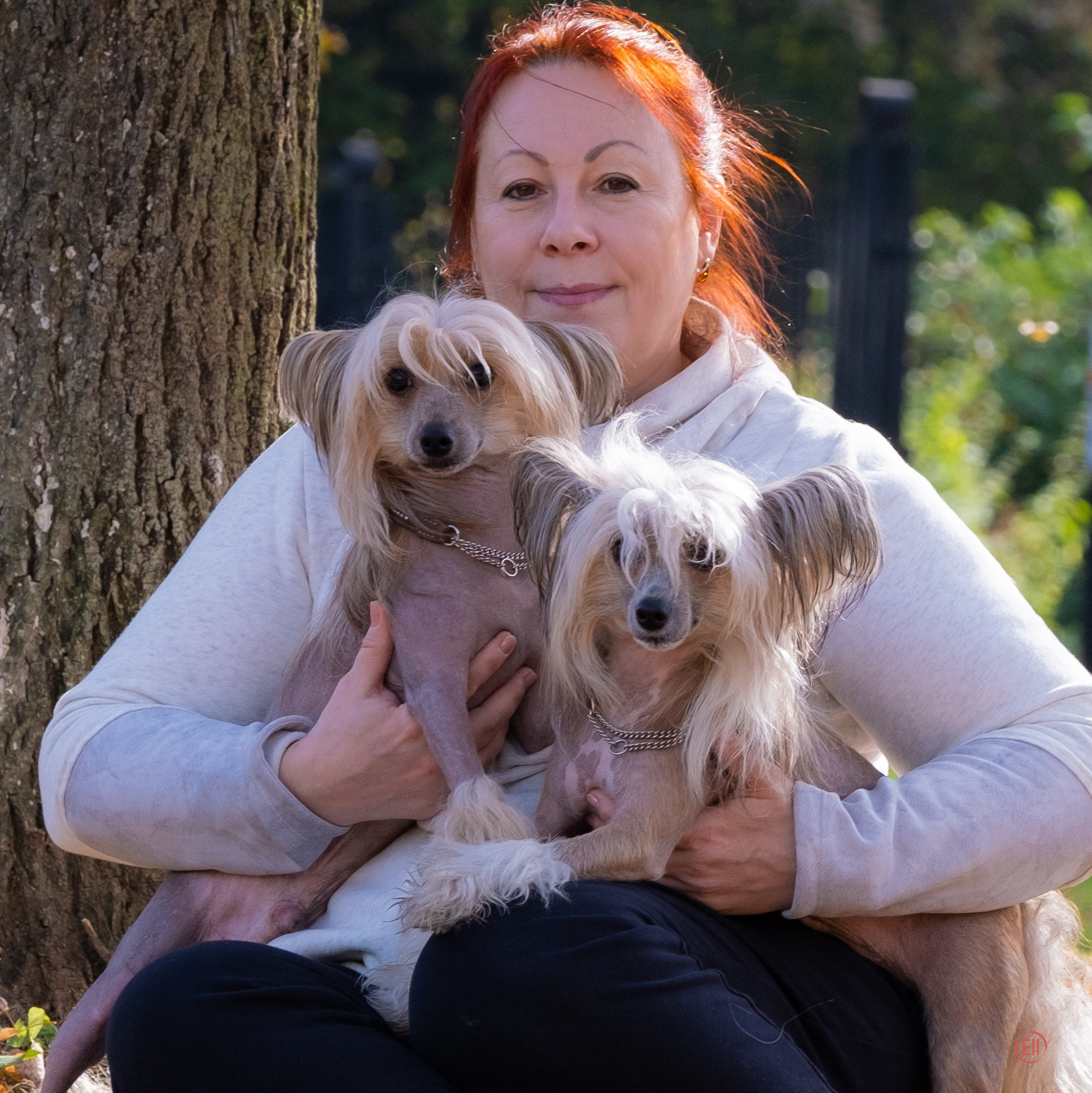 On a walk. Chinese Crested Dog Kennel Poale Ell
