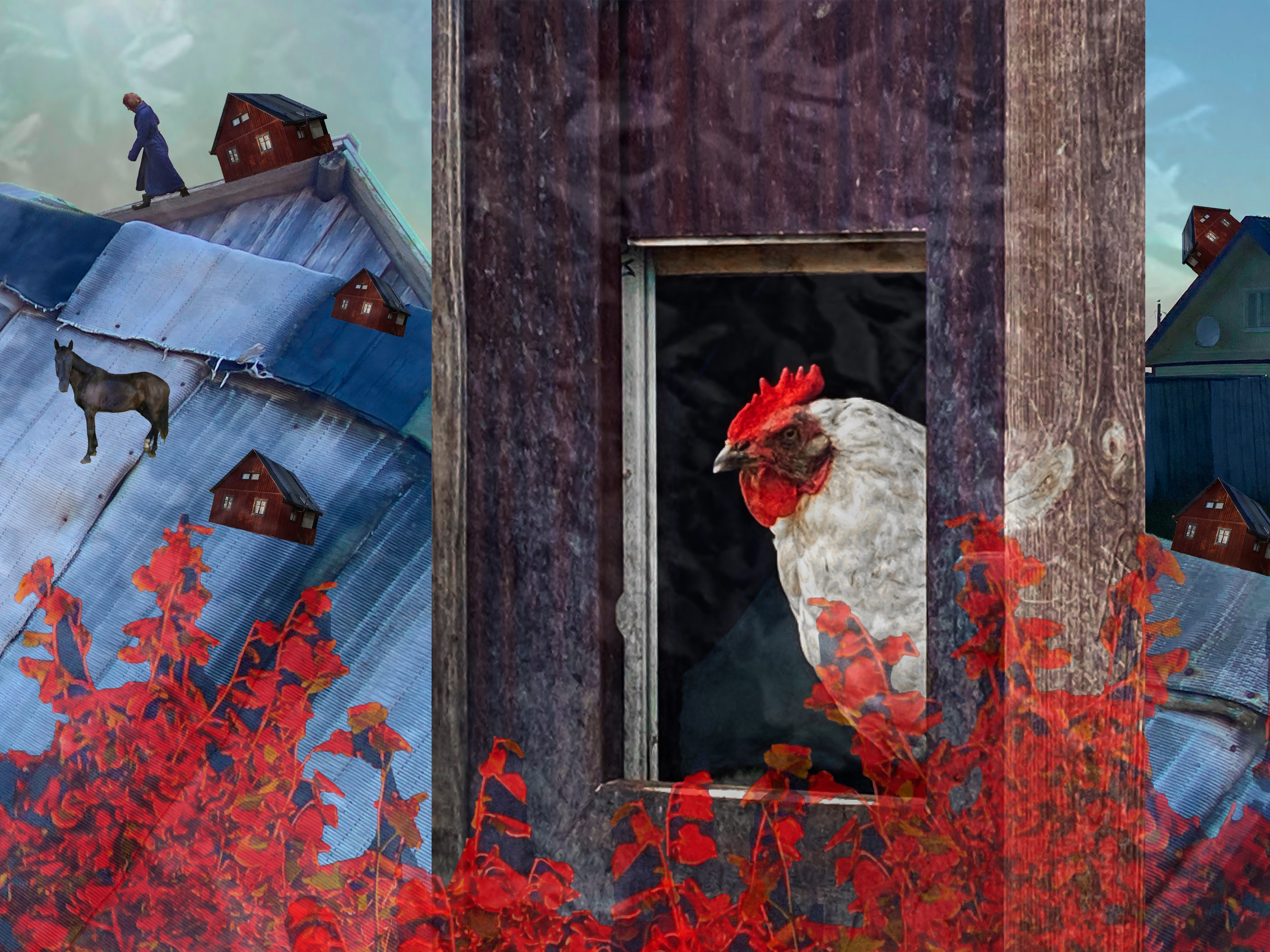Бабушки уходят в небо (2025 -…). Liudmila Bogdanova Photography | Mila Dozhd