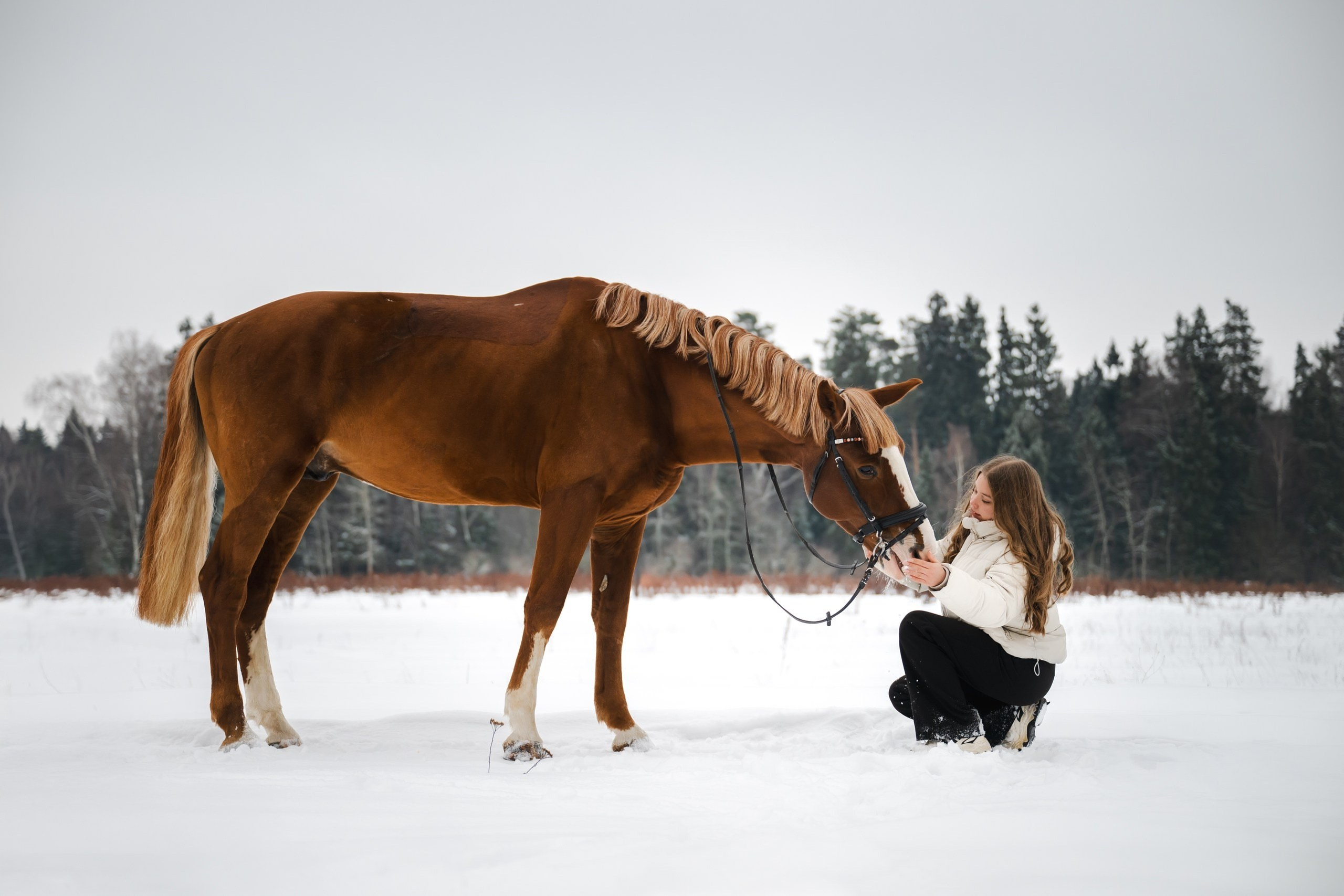 Фотограф Анималист в Москве Анастасия Жучкова