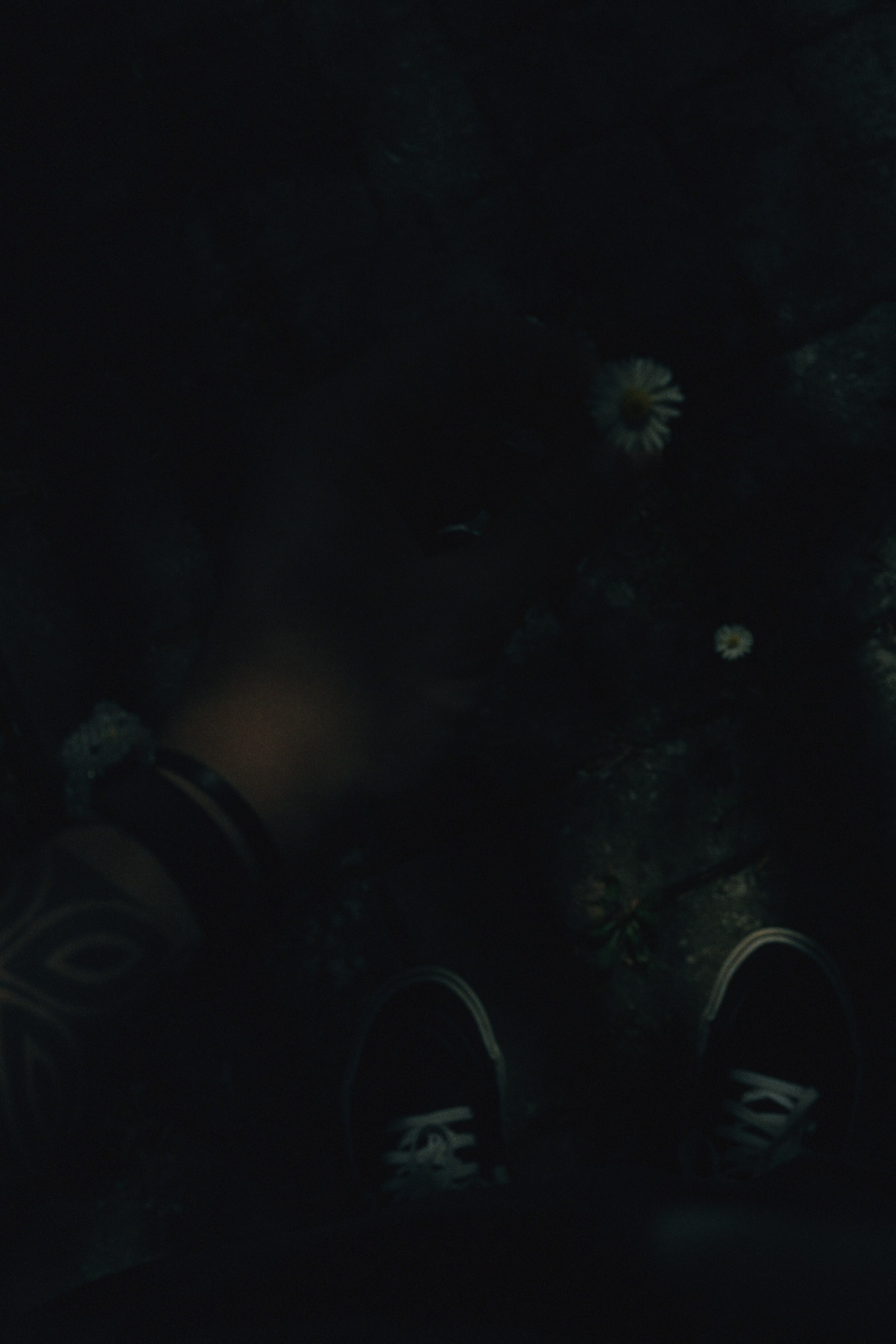 Abkhazia \ may 2023 \ film. Коммерческий Фотограф Виктор Фоменых