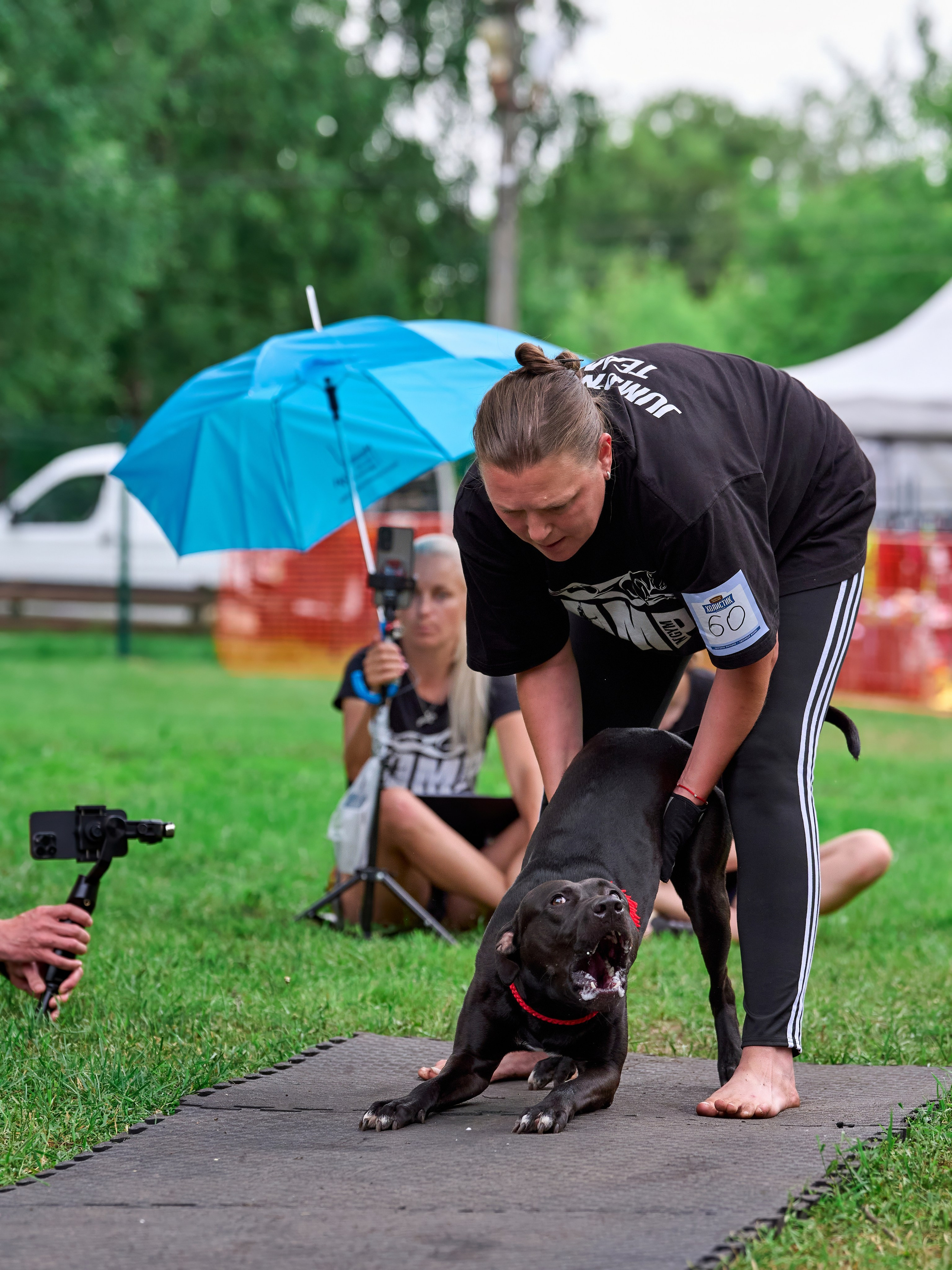 Двухдневные соревнования «Jump'n'Gym Fest — 2024». Фотограф-анималист Михаил Манухин