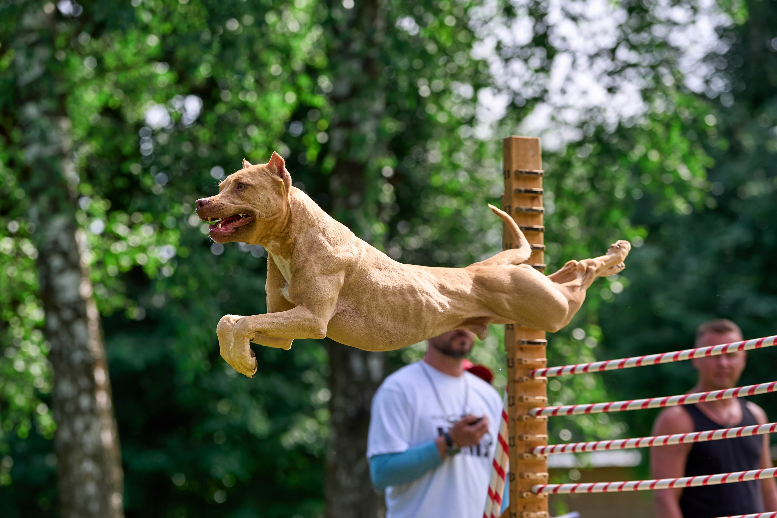 Двухдневные соревнования «Jump'n'Gym Fest — 2024». Фотограф-анималист Михаил Манухин