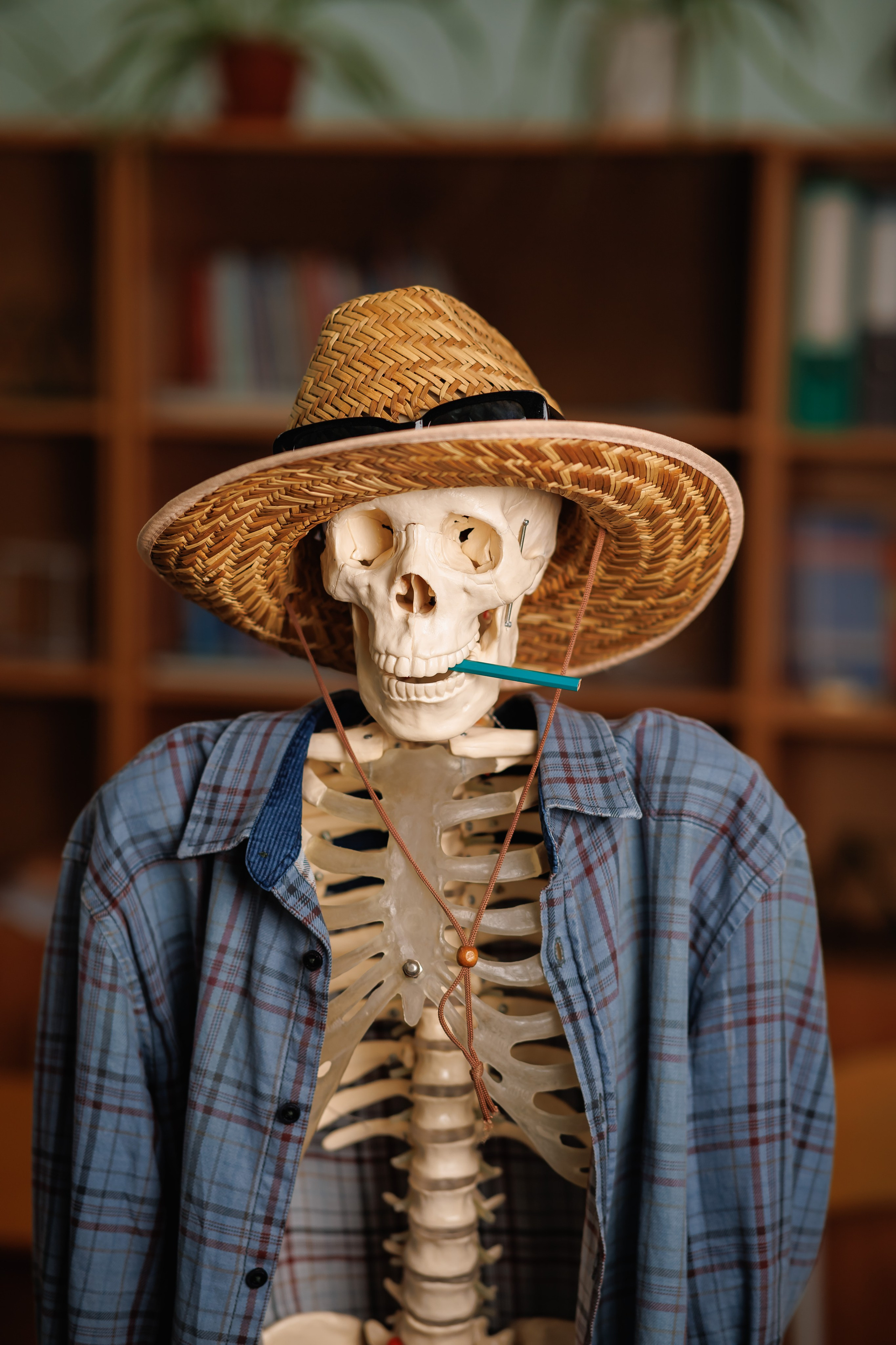 Премиум книги подробности