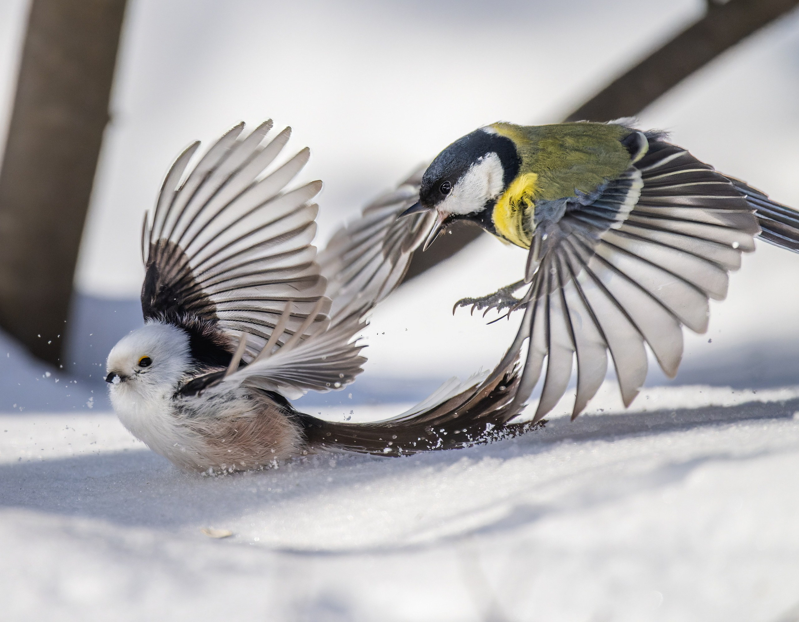 Творчество. Константин Дем | Фотограф