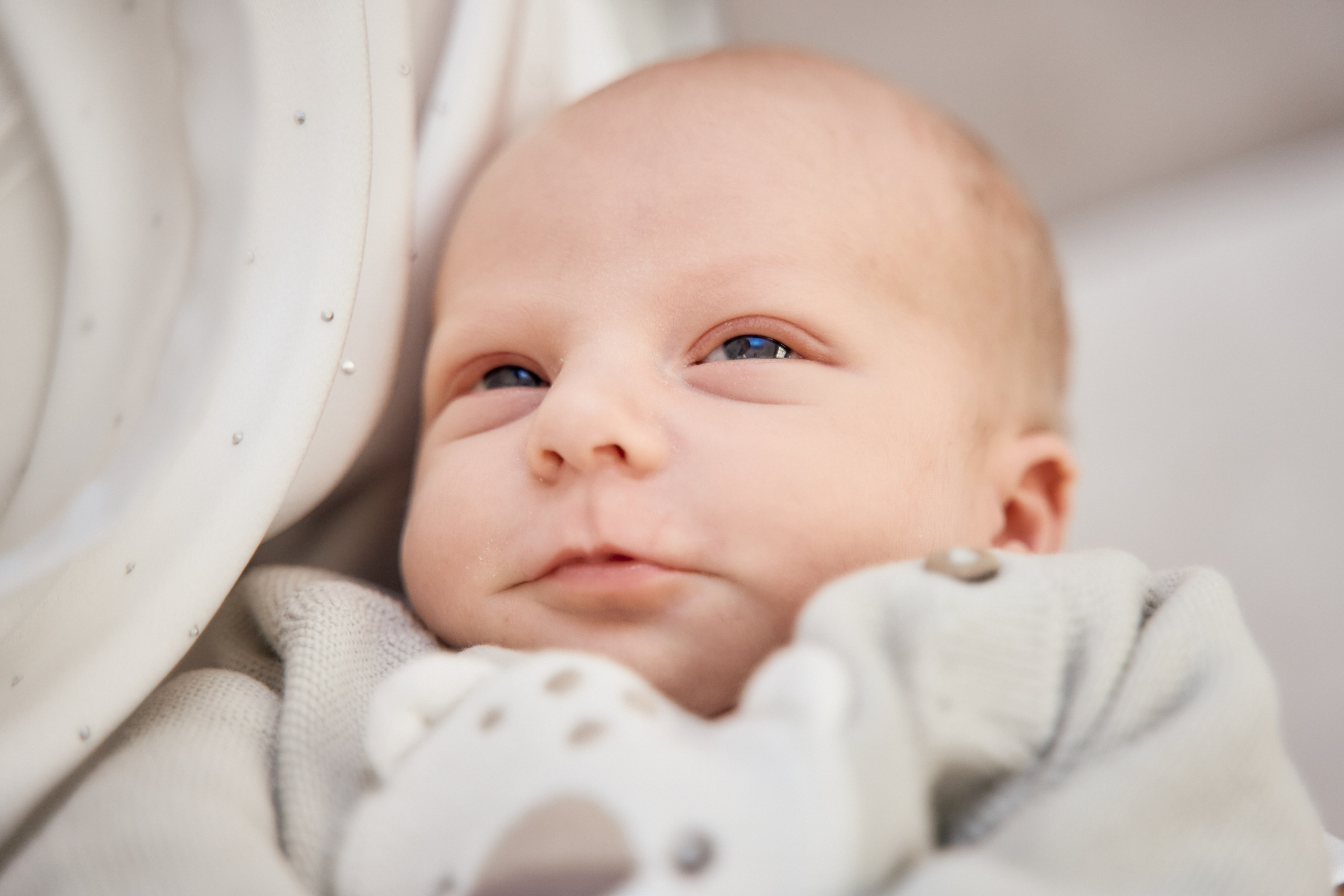 Оксана и сынок Игорек. Петр Ступень. Свадебное, семейное фото и видео. Москва. Краснодар