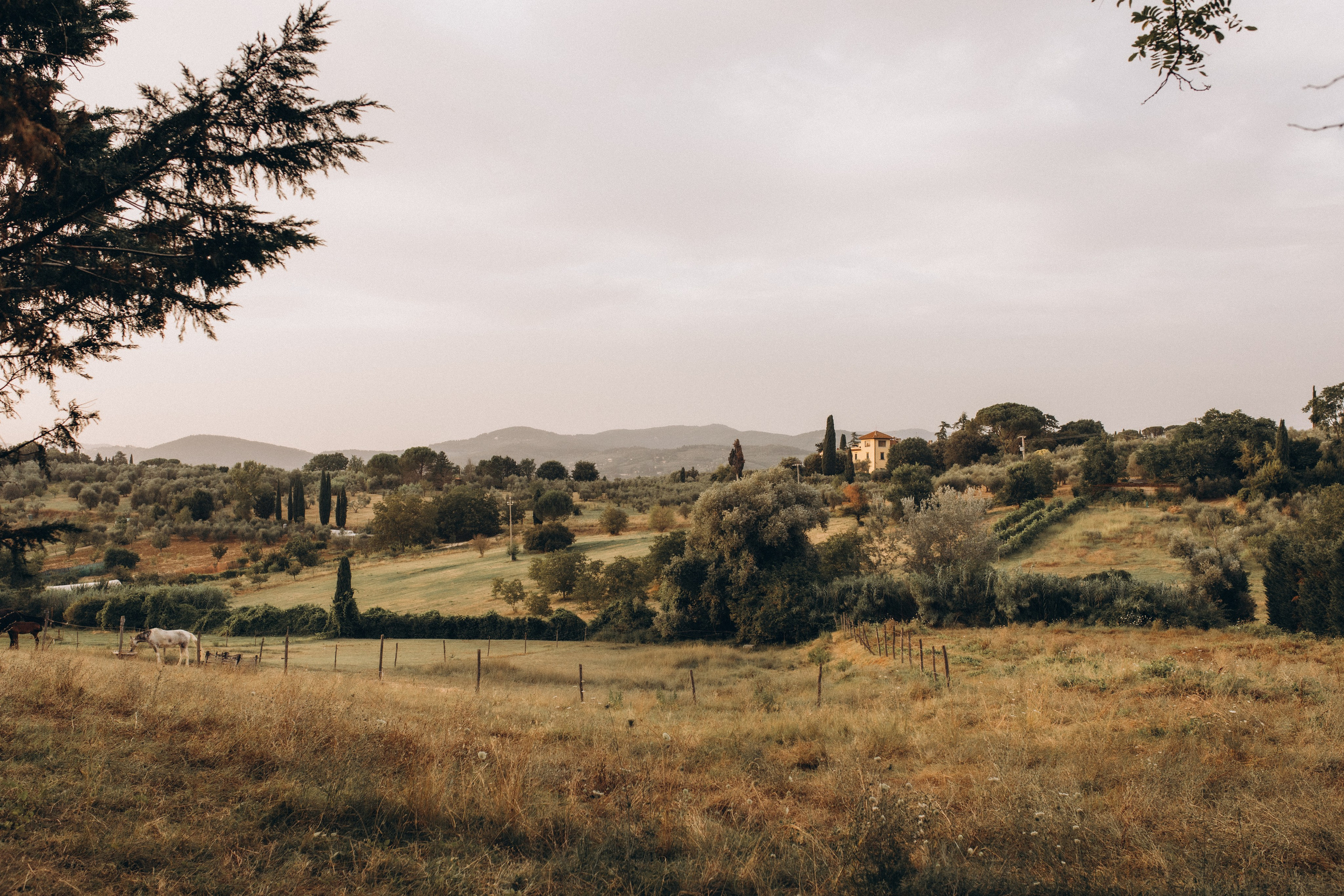 Фотограф в Москве Алёна Гладкова