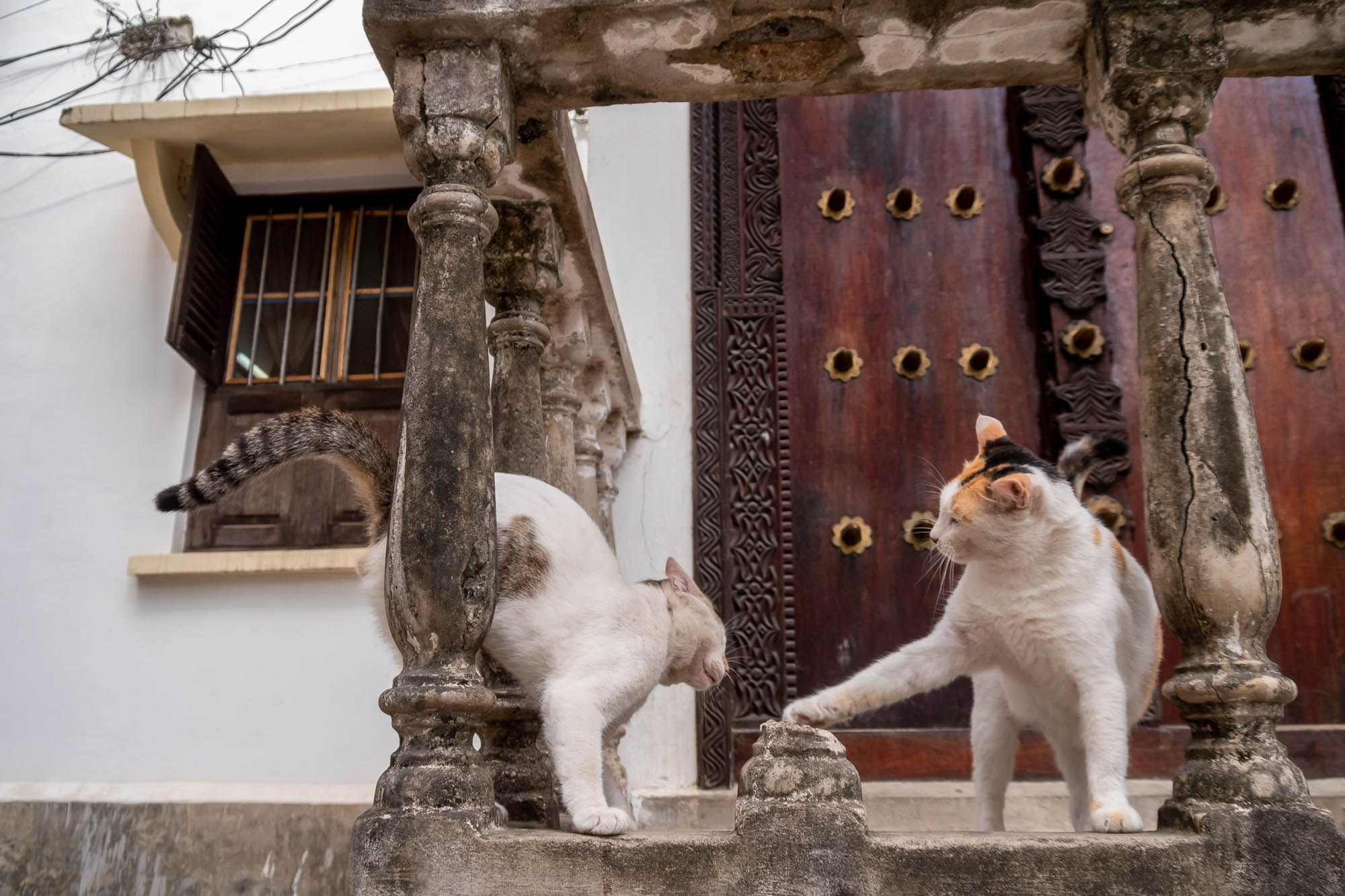 Остров Занзибар, г. Стоун Таун (Занзибар) Zanzibar Island, Stone Town (Zanzibar). Фотограф Алексей Скоробогатько