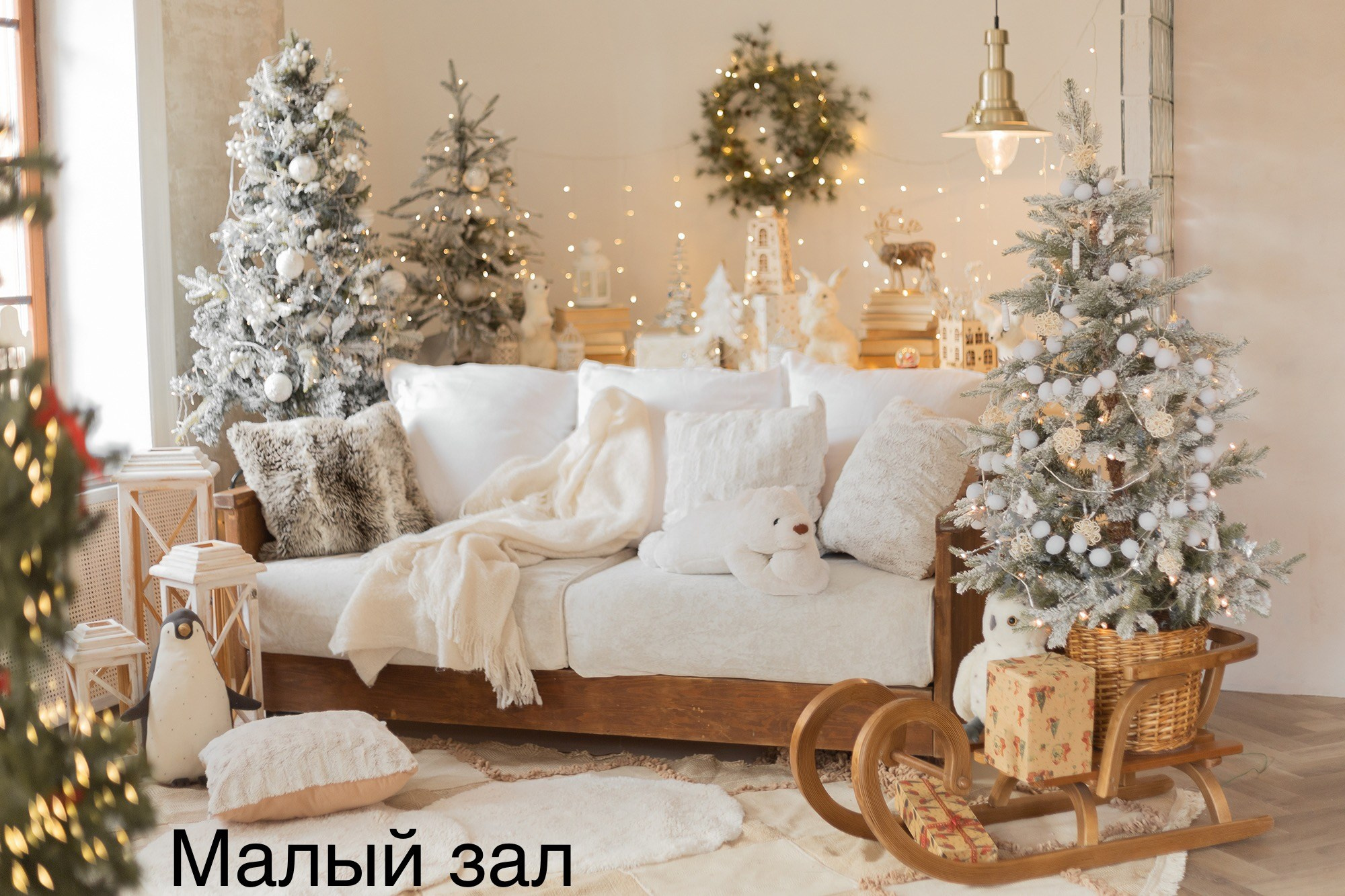 Фотостудии. Евгений Щетников Фотограф-Тюмень