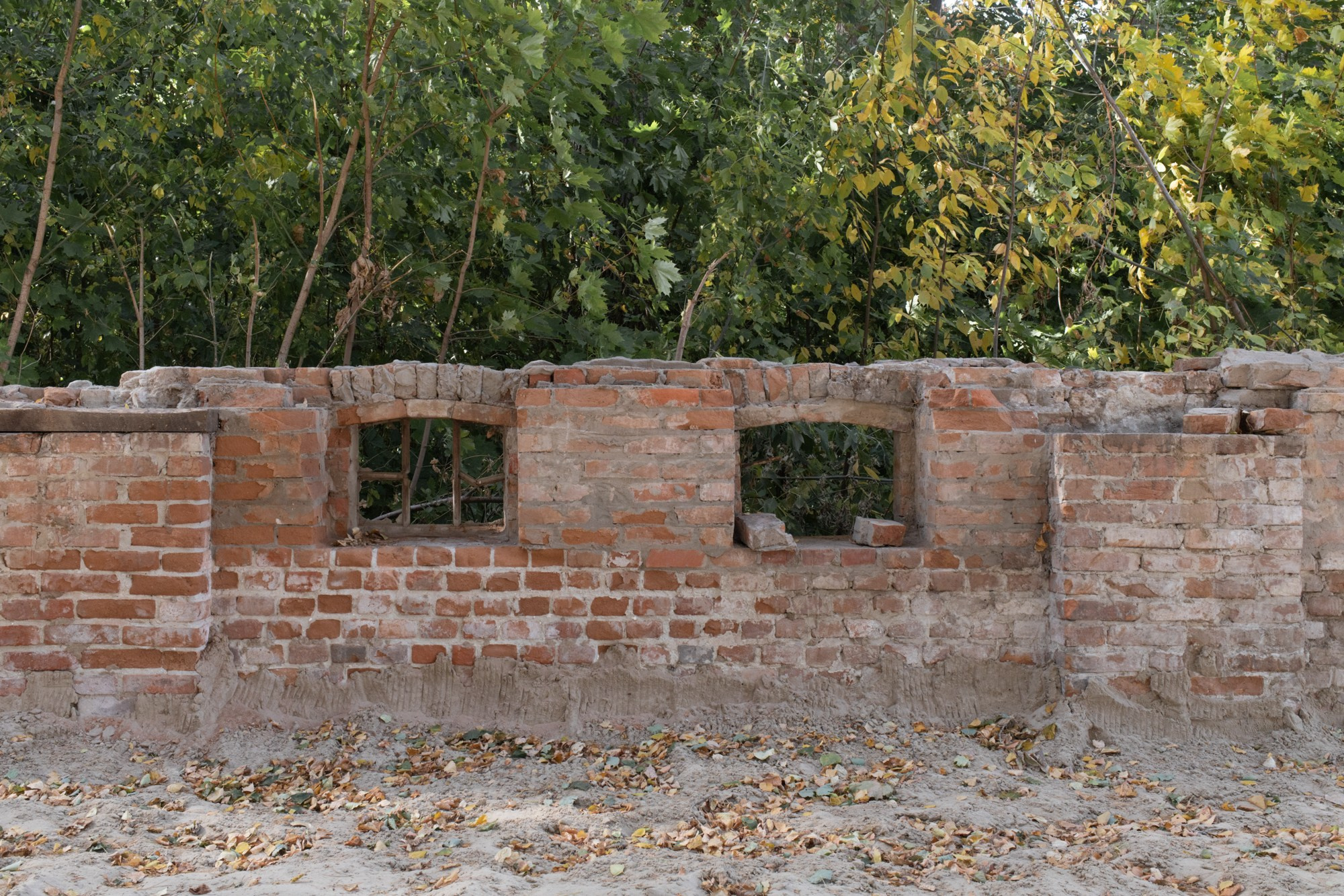 Фундамент коммунарского дома. Само здание недавно снесли из-за аварийной опасности.