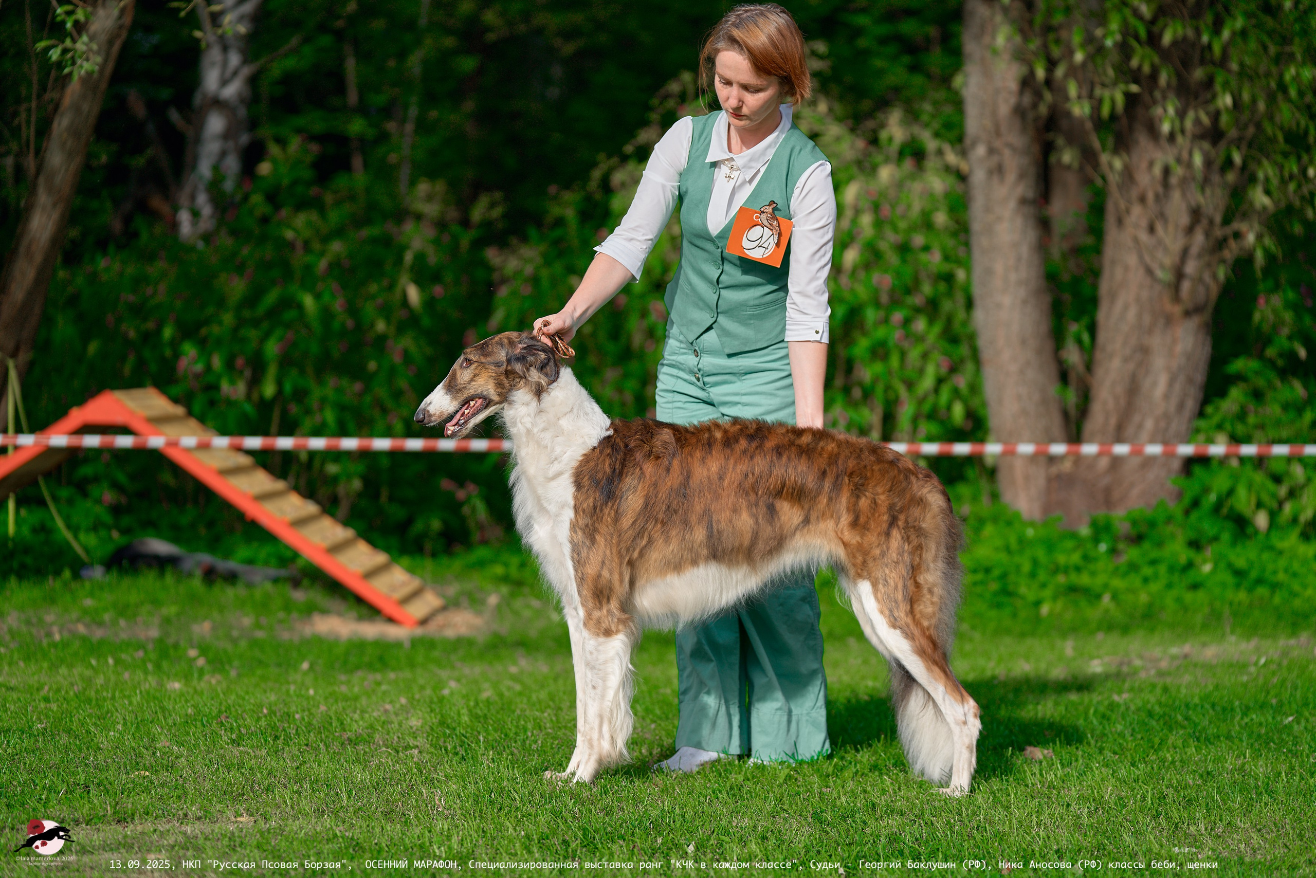 ОСЕННИЙ МАРАФОН | Специализированная выставка породы Русская Псовая Борзая ранг "КЧК в каждом классе"