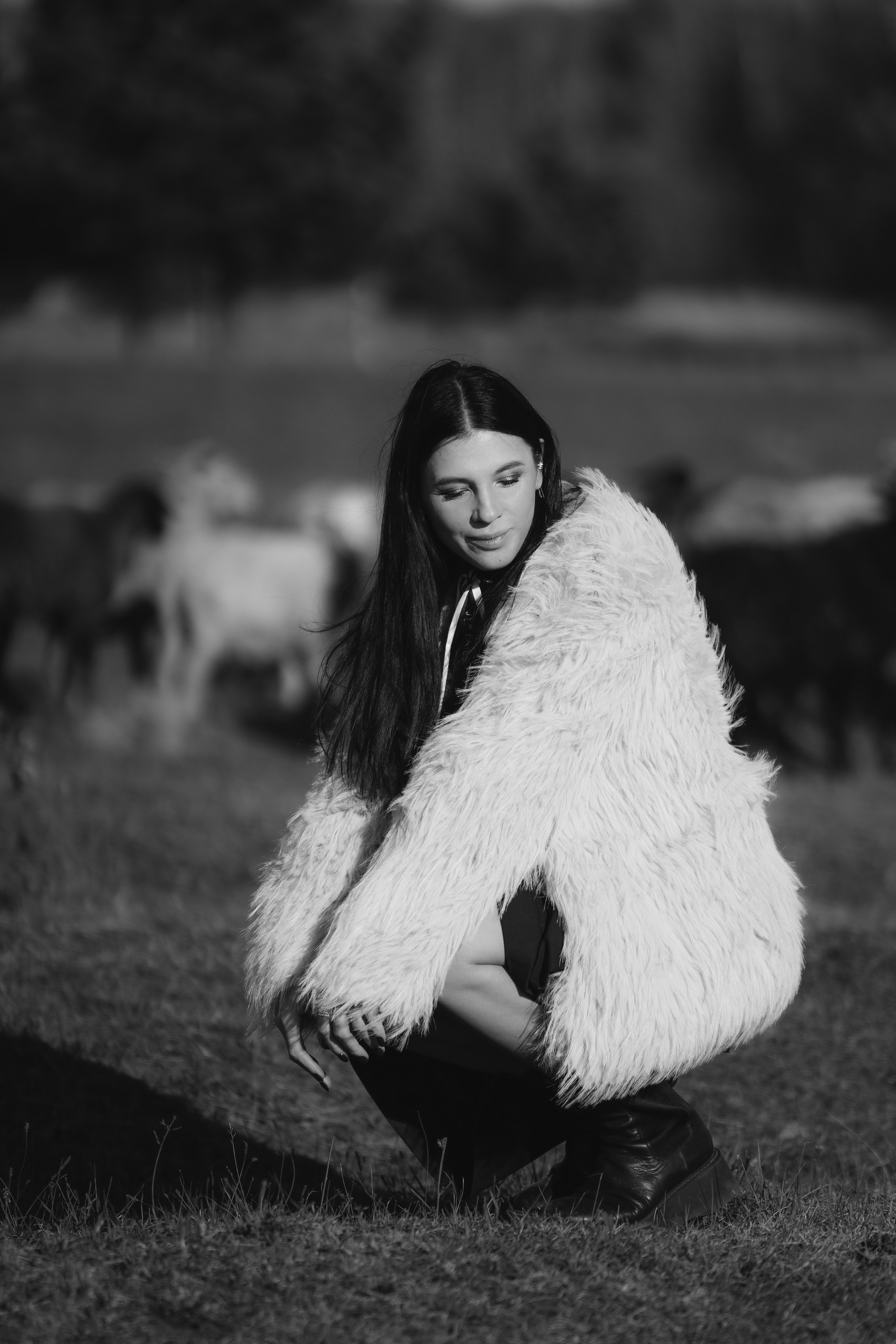 Охота на овец