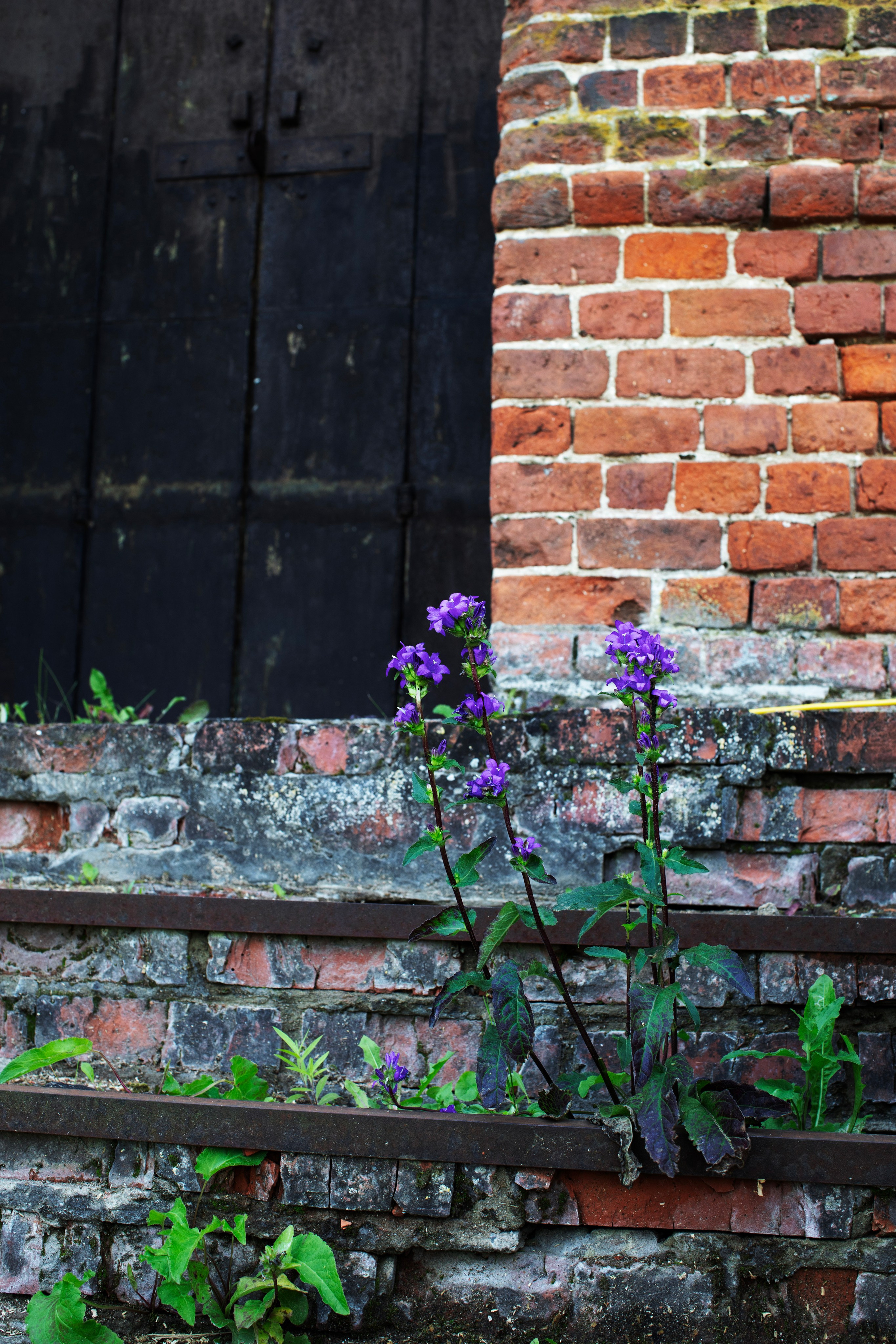 Рязань'25. Фотограф-портретист в Москве