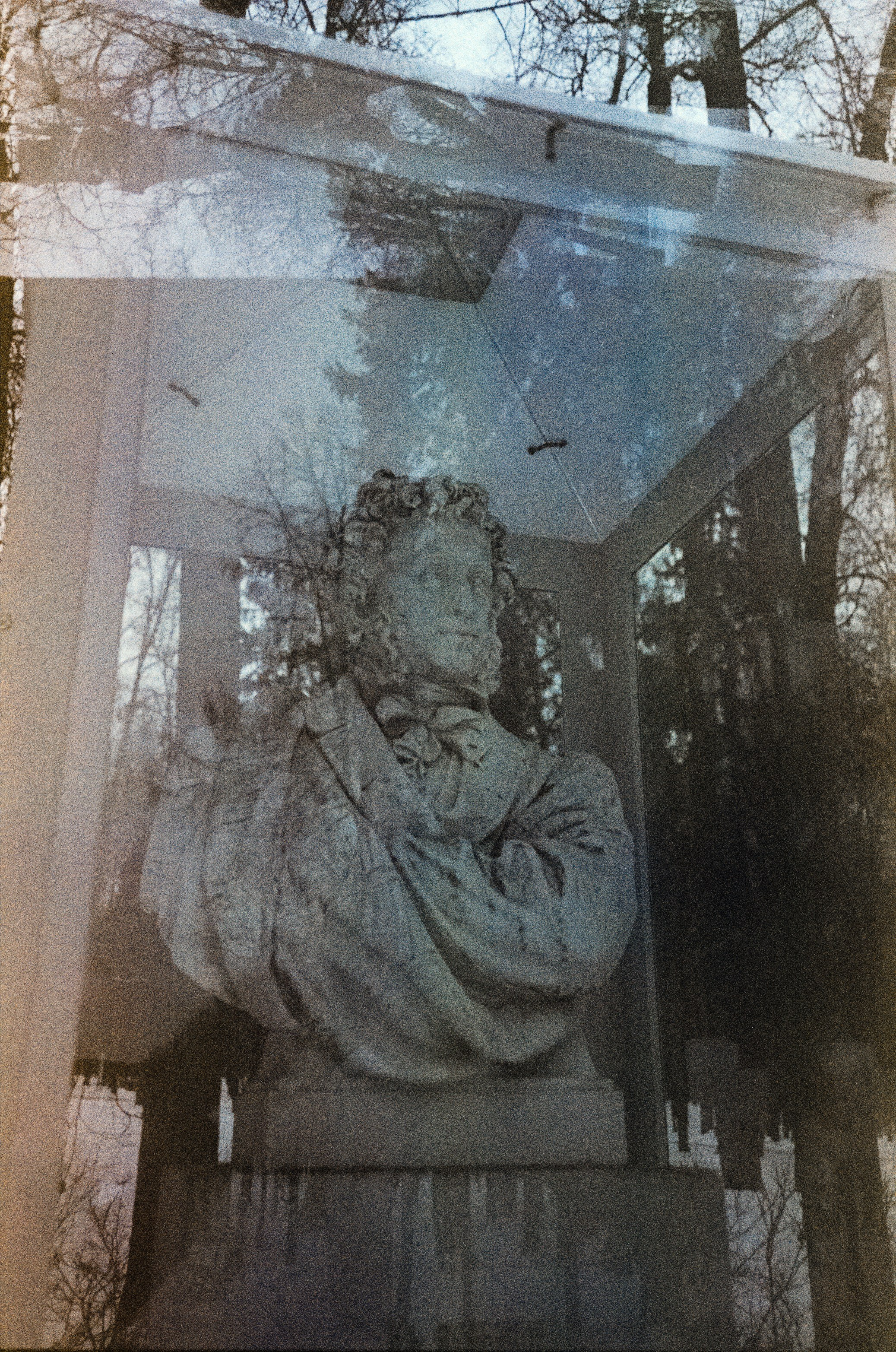 Fujicolor Superia 200 (просрочка) / Cosina CX-1 / 6 января 2025 года Усадьба Архангельское