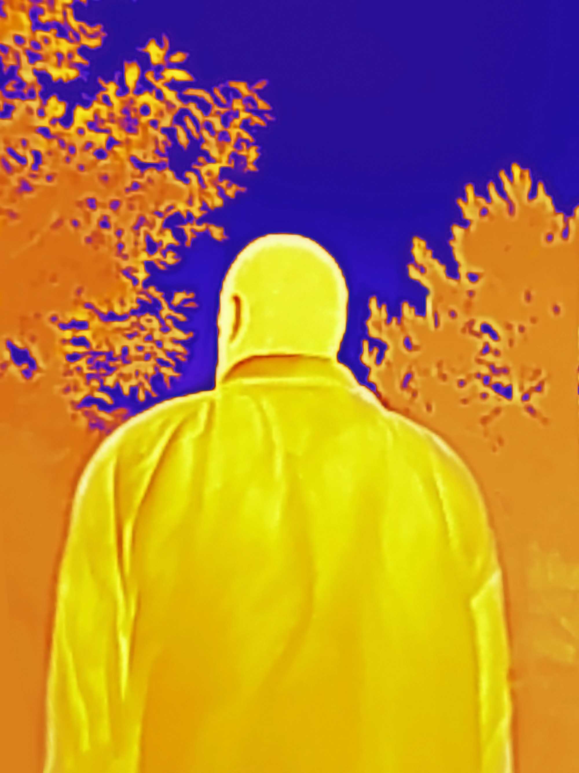 Тепловой след / Heat trace. Visual artist Olga Burmistrova