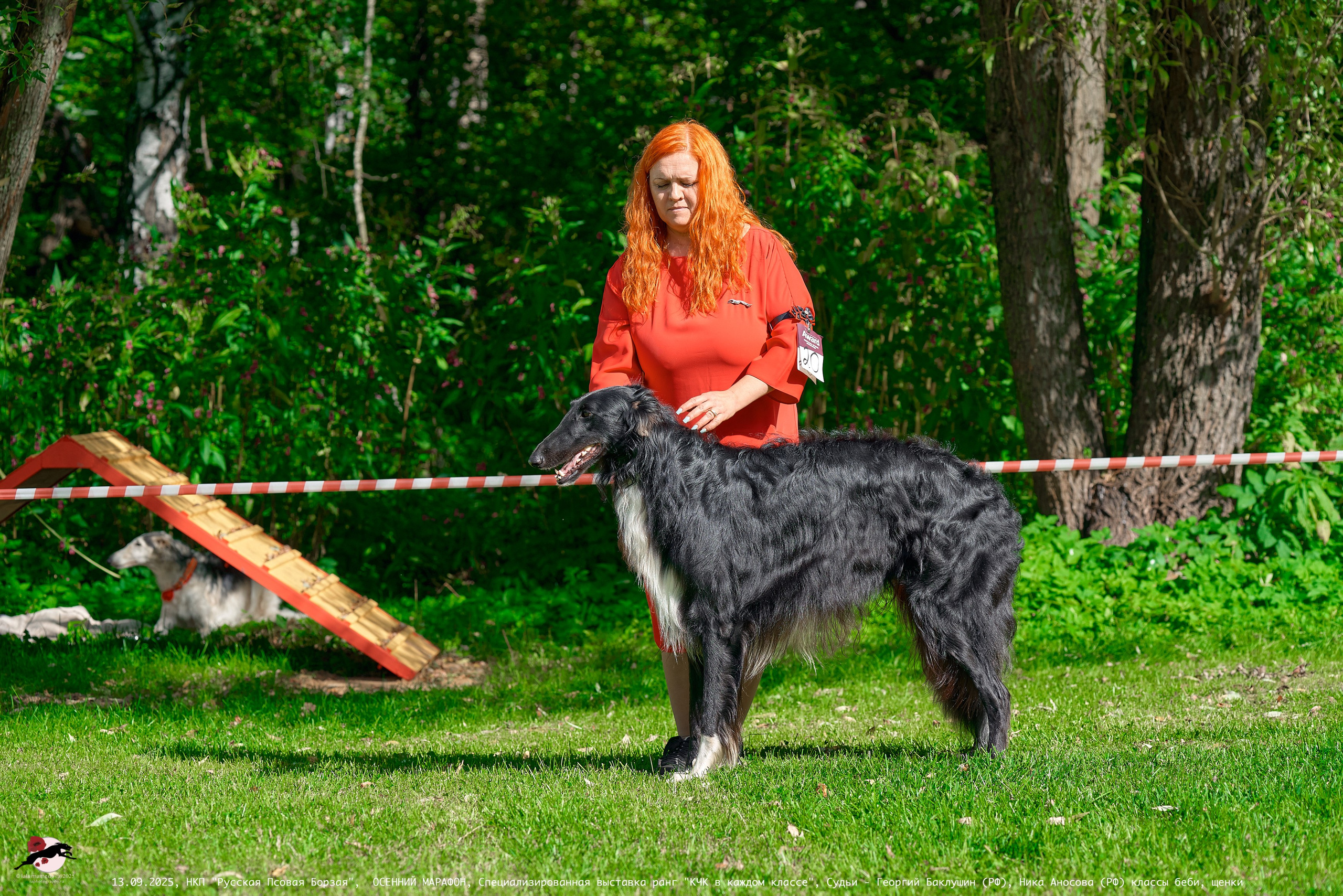 ОСЕННИЙ МАРАФОН | Специализированная выставка породы Русская Псовая Борзая ранг "КЧК в каждом классе"