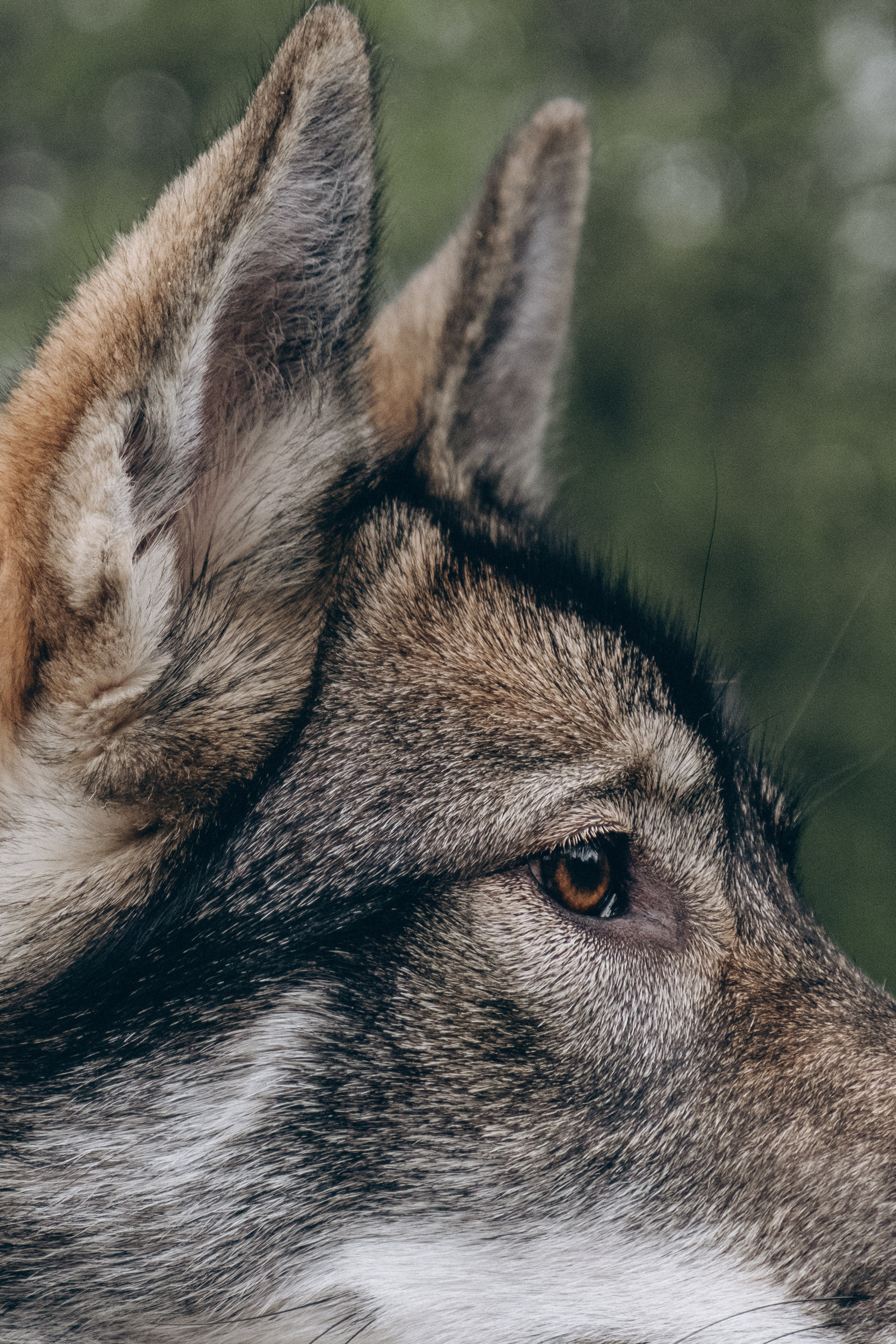 Nataresso | фотограф Москва