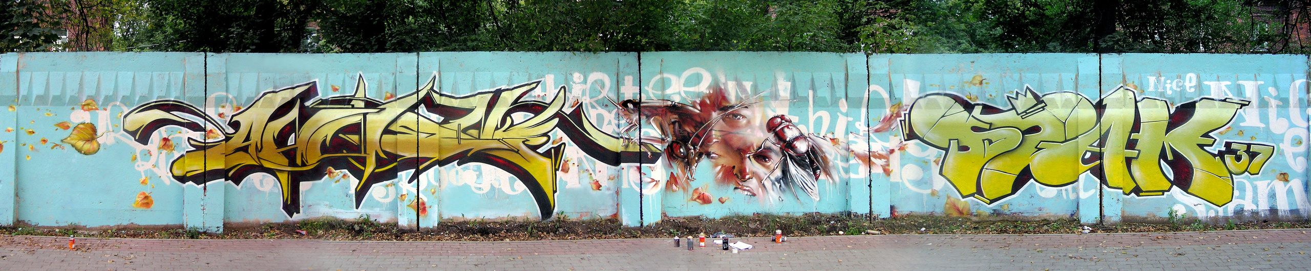 Graffiti. Alexander Stan Shimanov