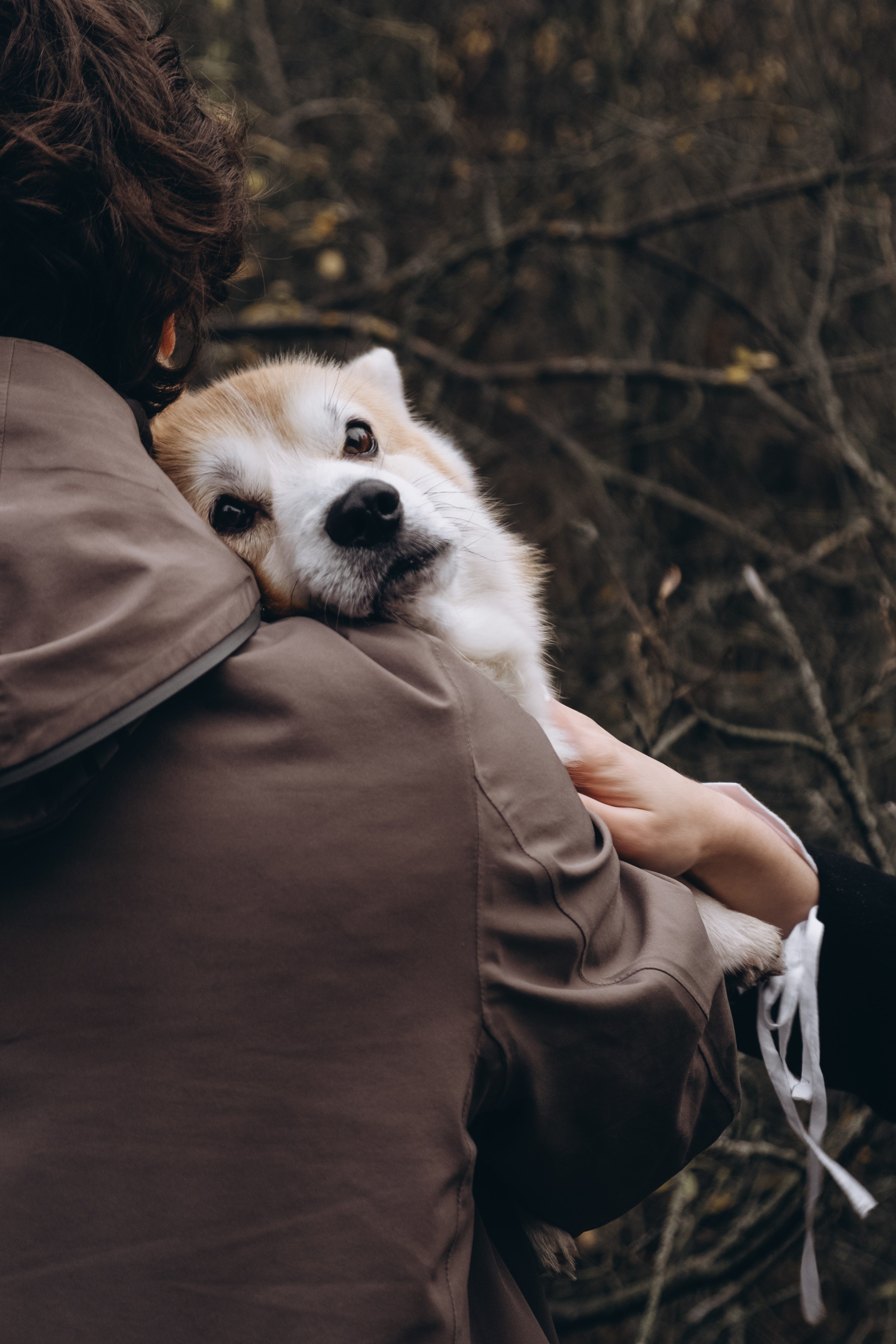 Nataresso | фотограф Москва