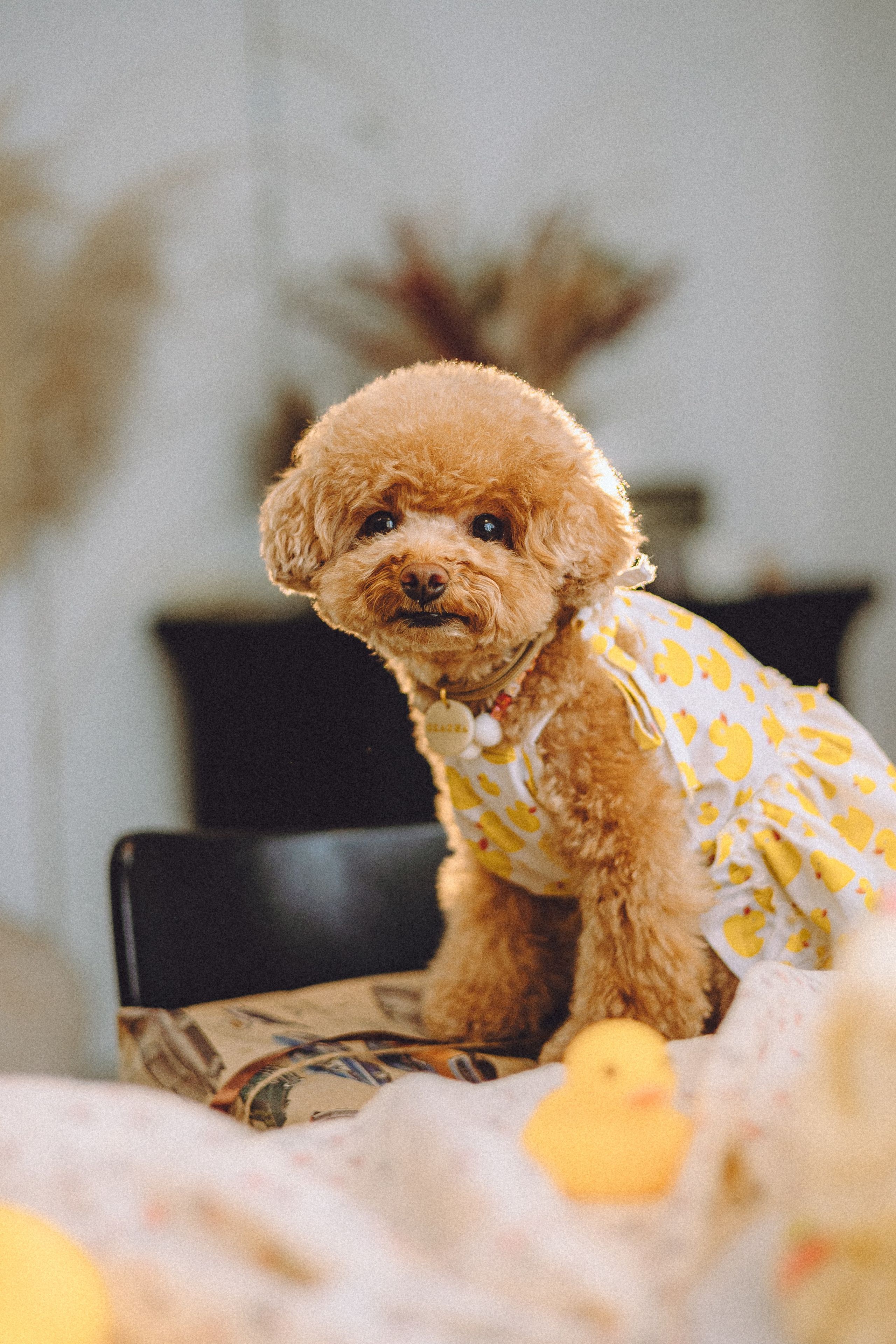 День Рождения Глаши