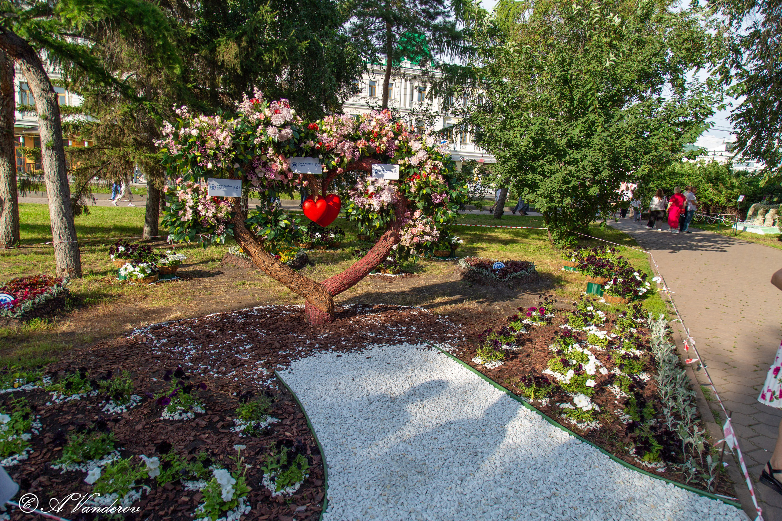 День города 03.08.2024. Фотограф Омск | Александр Вандеров