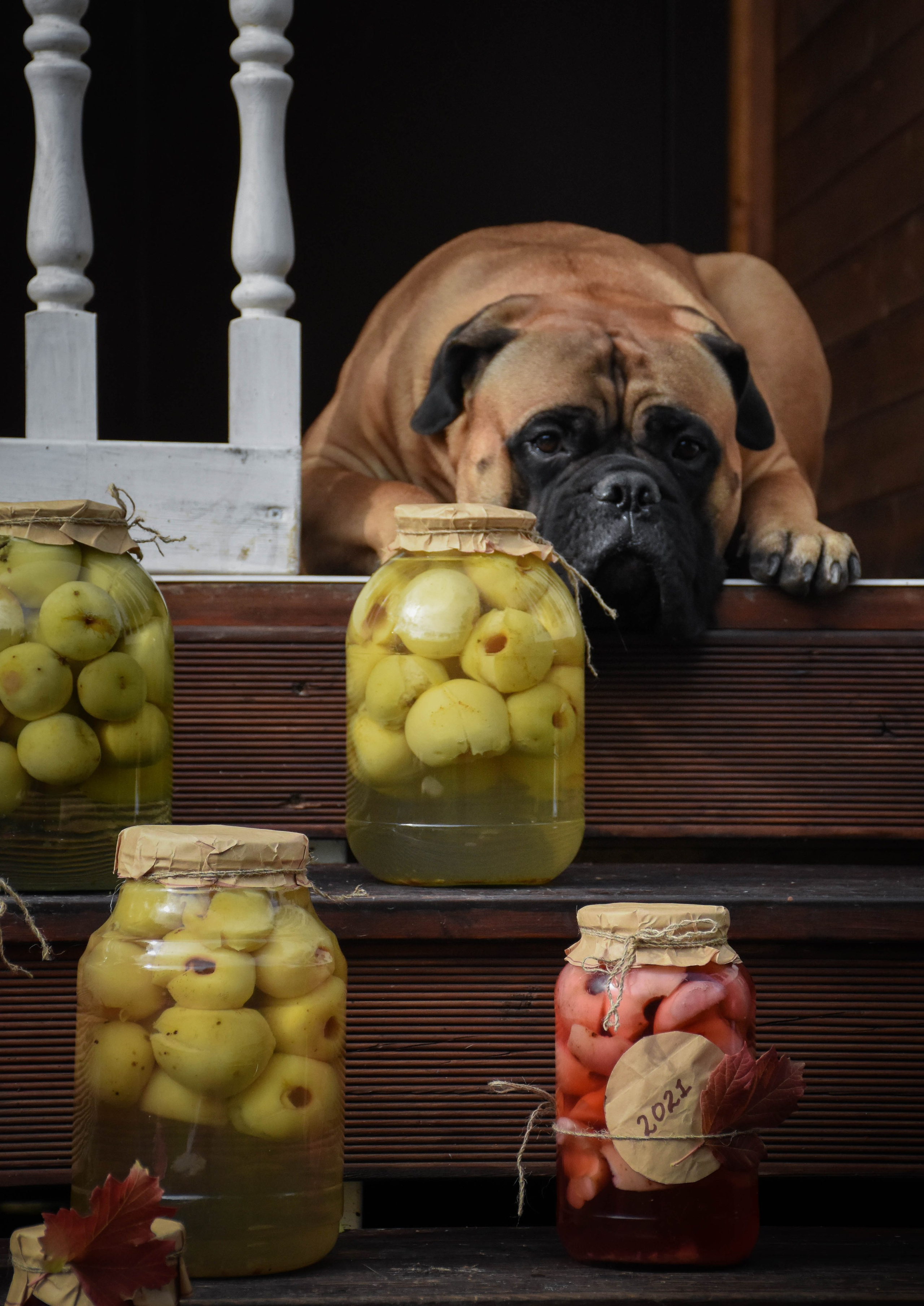 В созвучии с природой. Фотограф Светлана В. Пронина, Москва