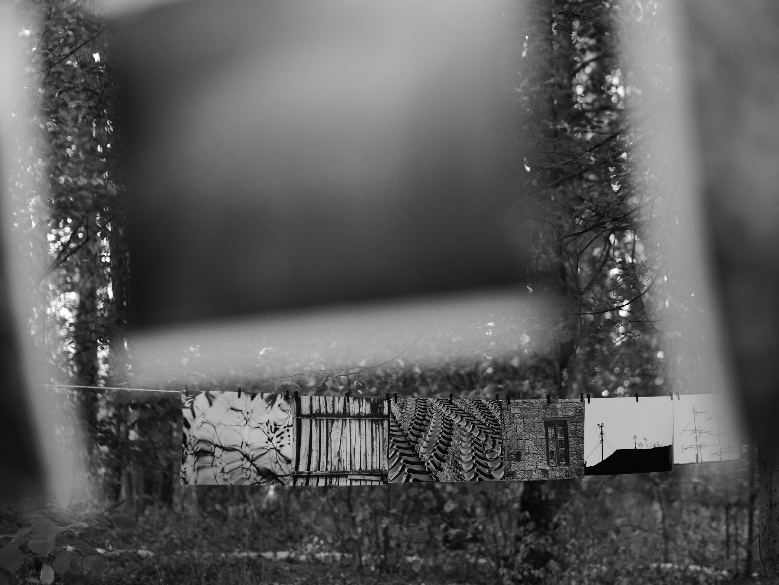 Обнинск 21.09.2024. Фотострелка