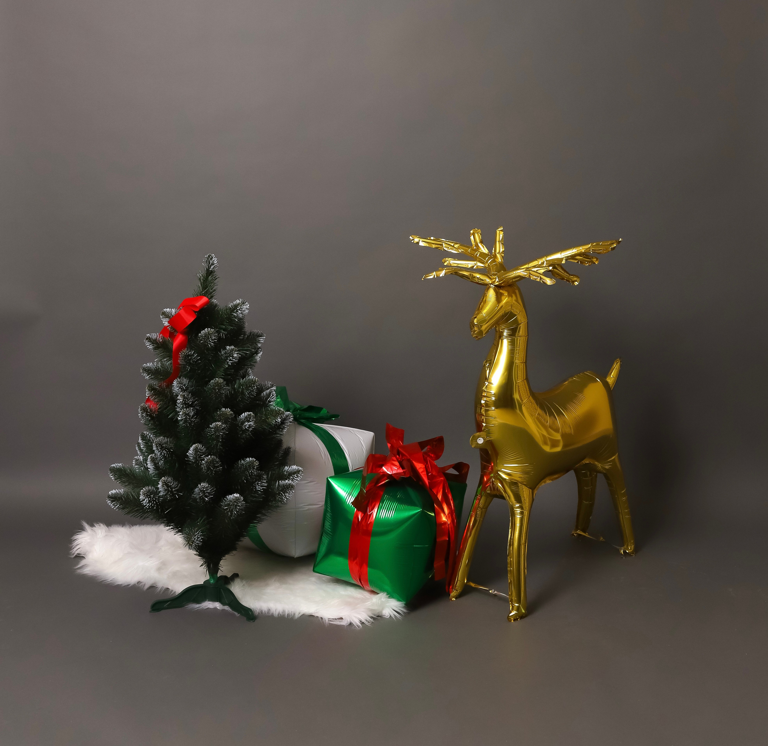 Фотостудия в Краснодаре без фотографа