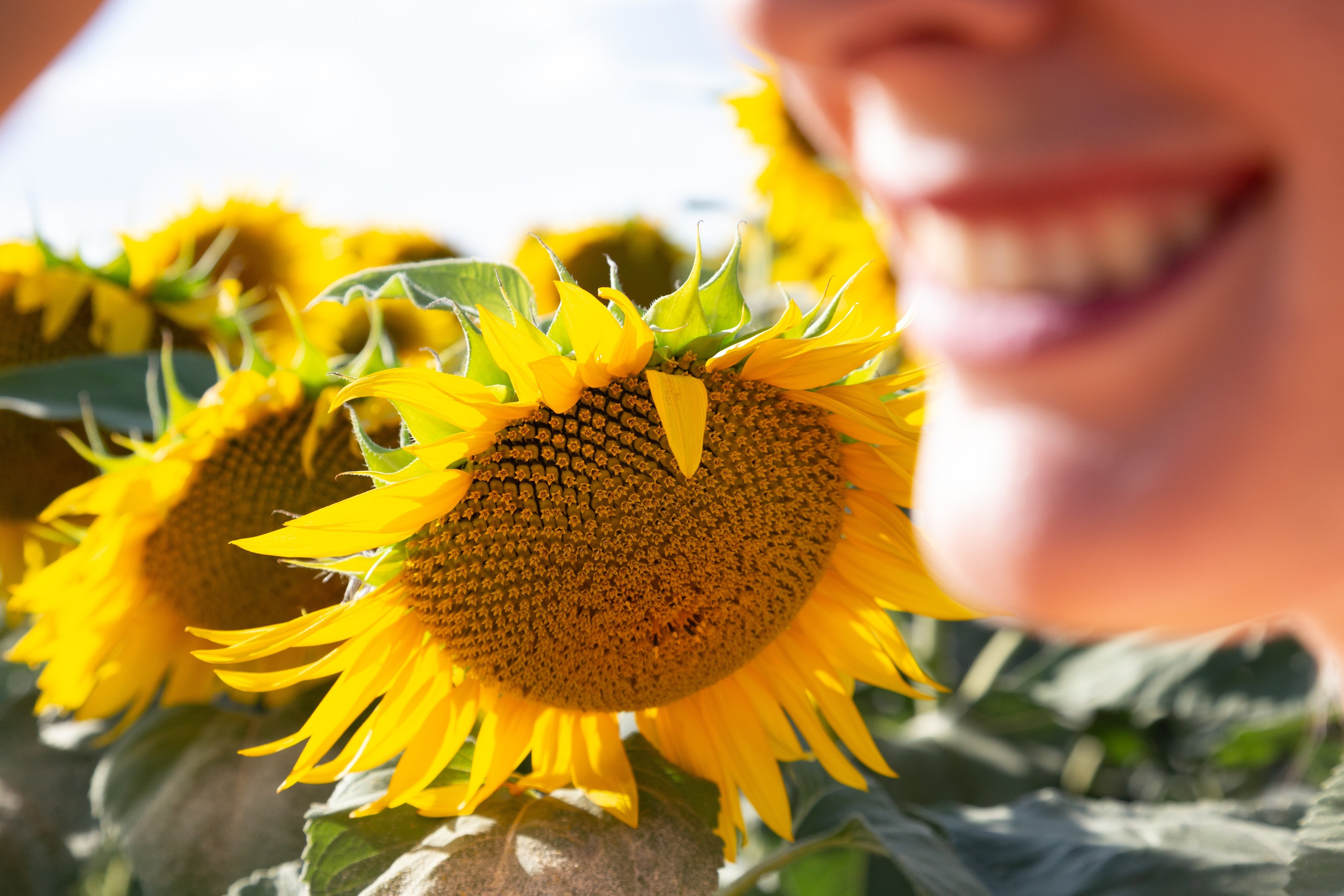 Портретный фотограф в Липецке
