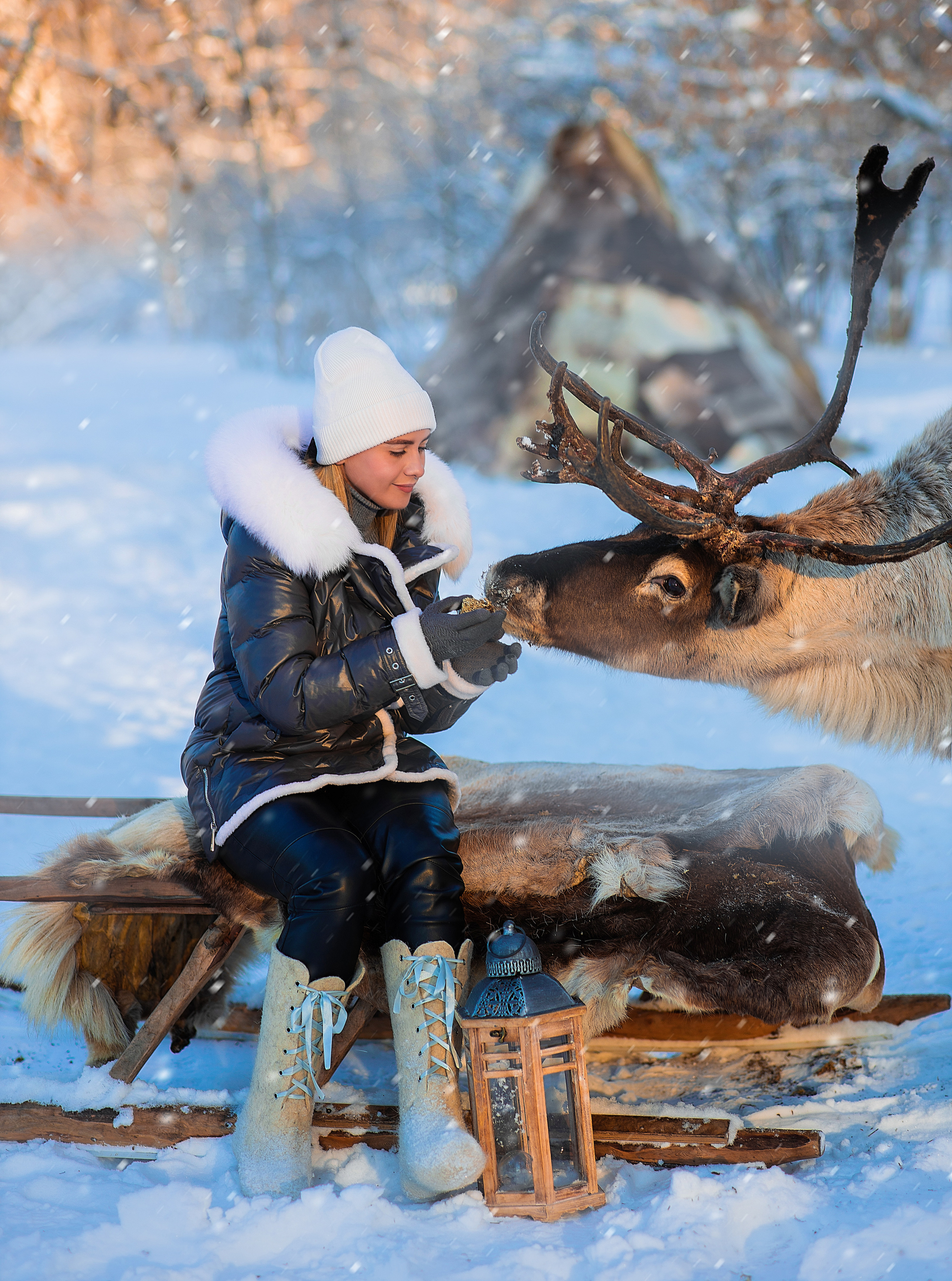 Фотосессия с оленями. Фотограф Лия Милк | Москва, Подмосковье