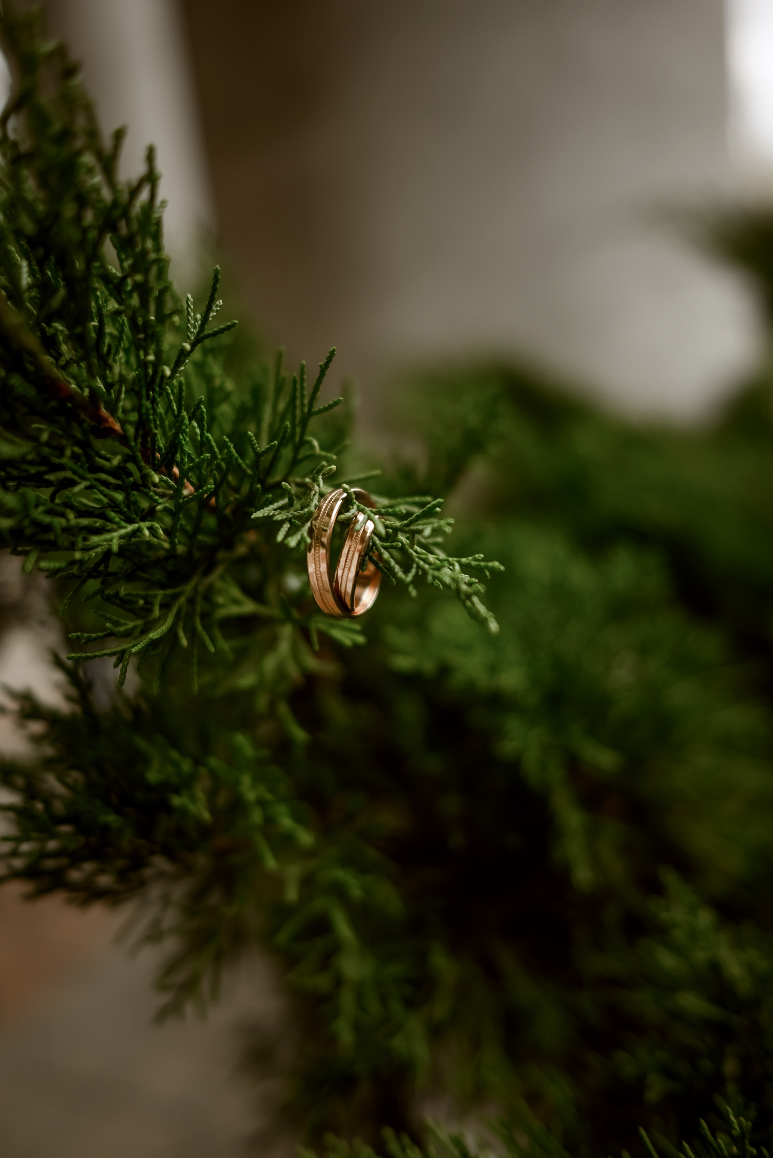 Свадебная прогулка в центе города. Юлия Басня семейный и свадебный фотограф в Донецке