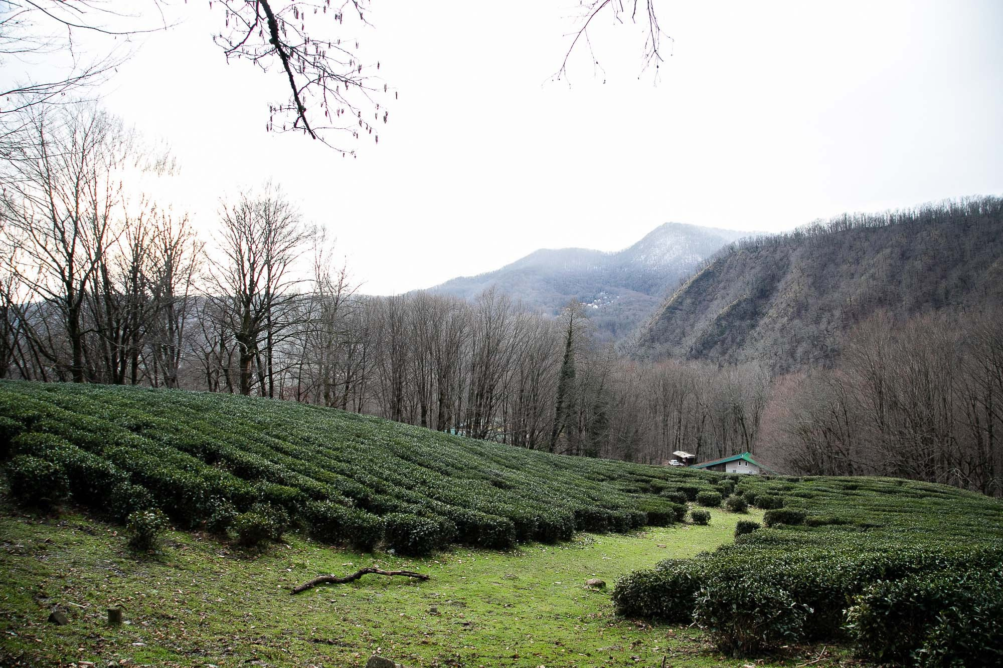 Семейный и детский фотограф в Санкт-Петербург. Natalia Fadel