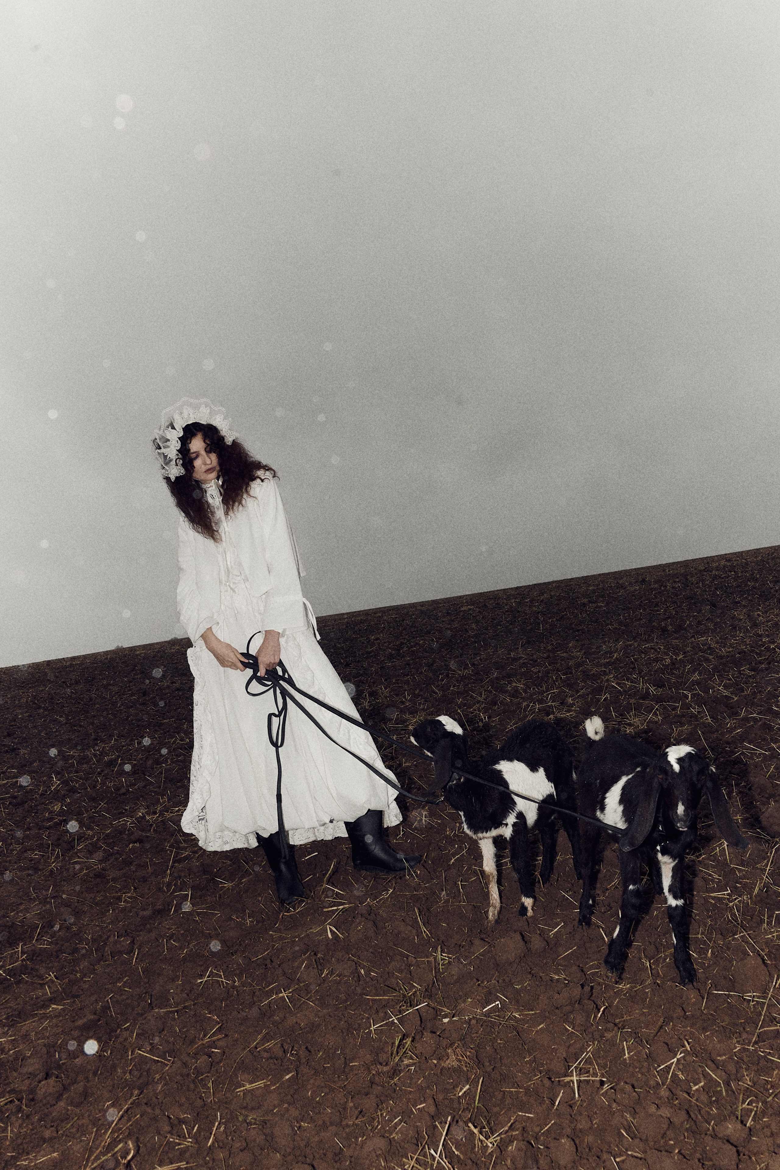 Виолетта и Александр. Свадебный и семейный фотограф в Иваново и Москве Мильков Вадим